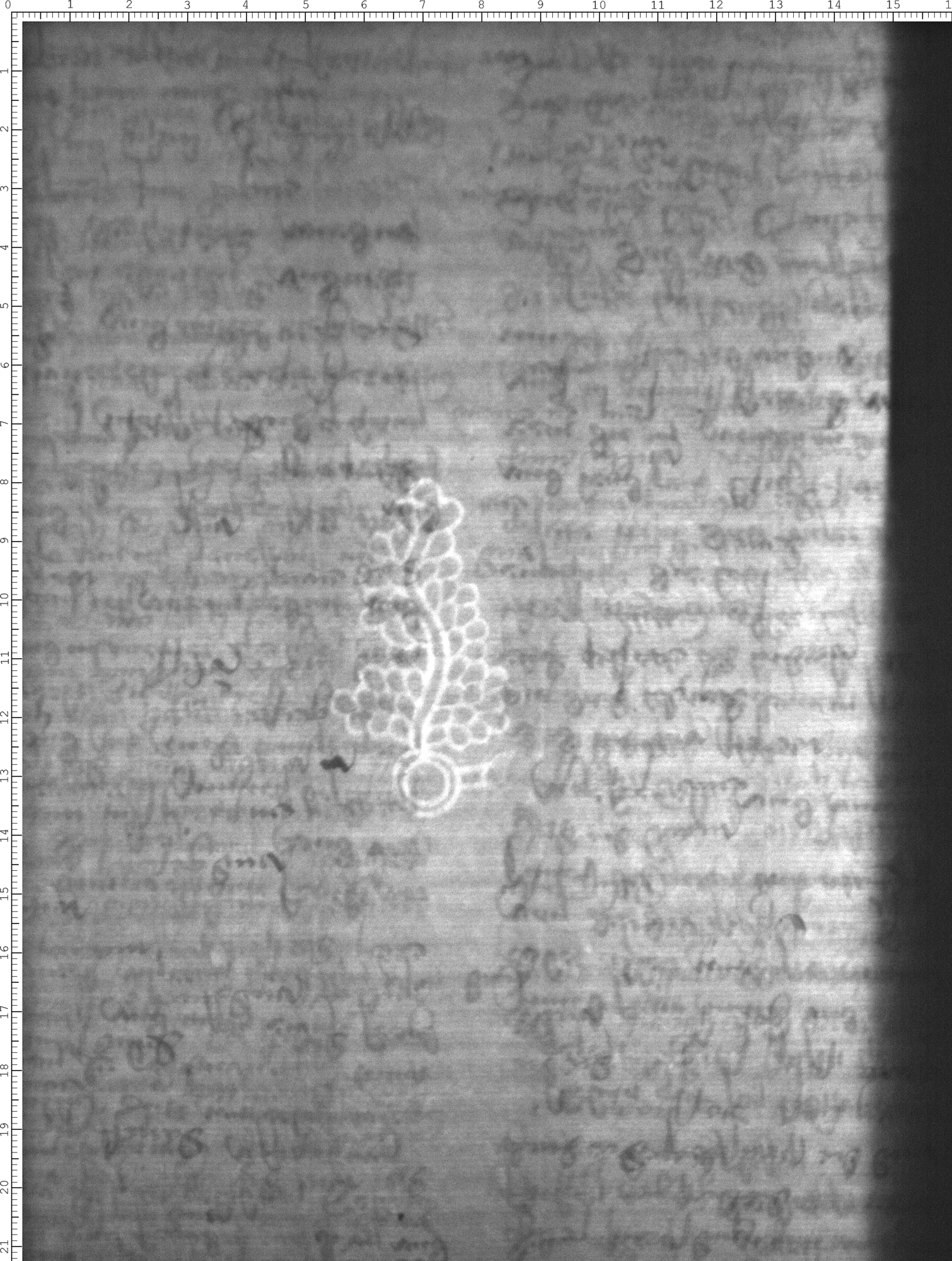 Watermark