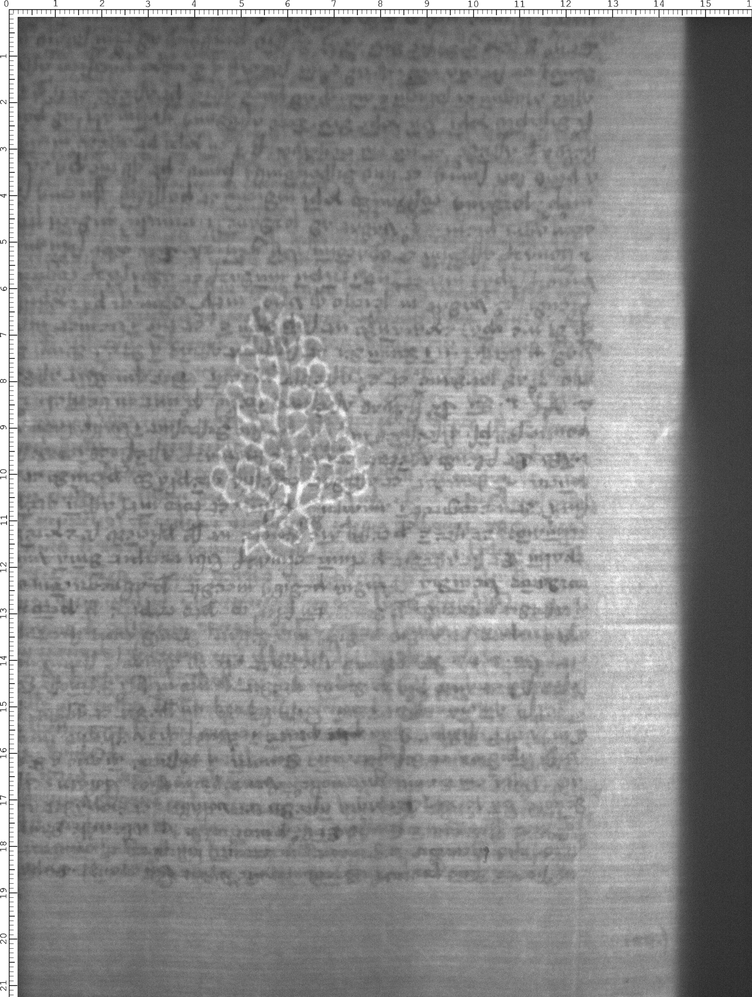 Watermark