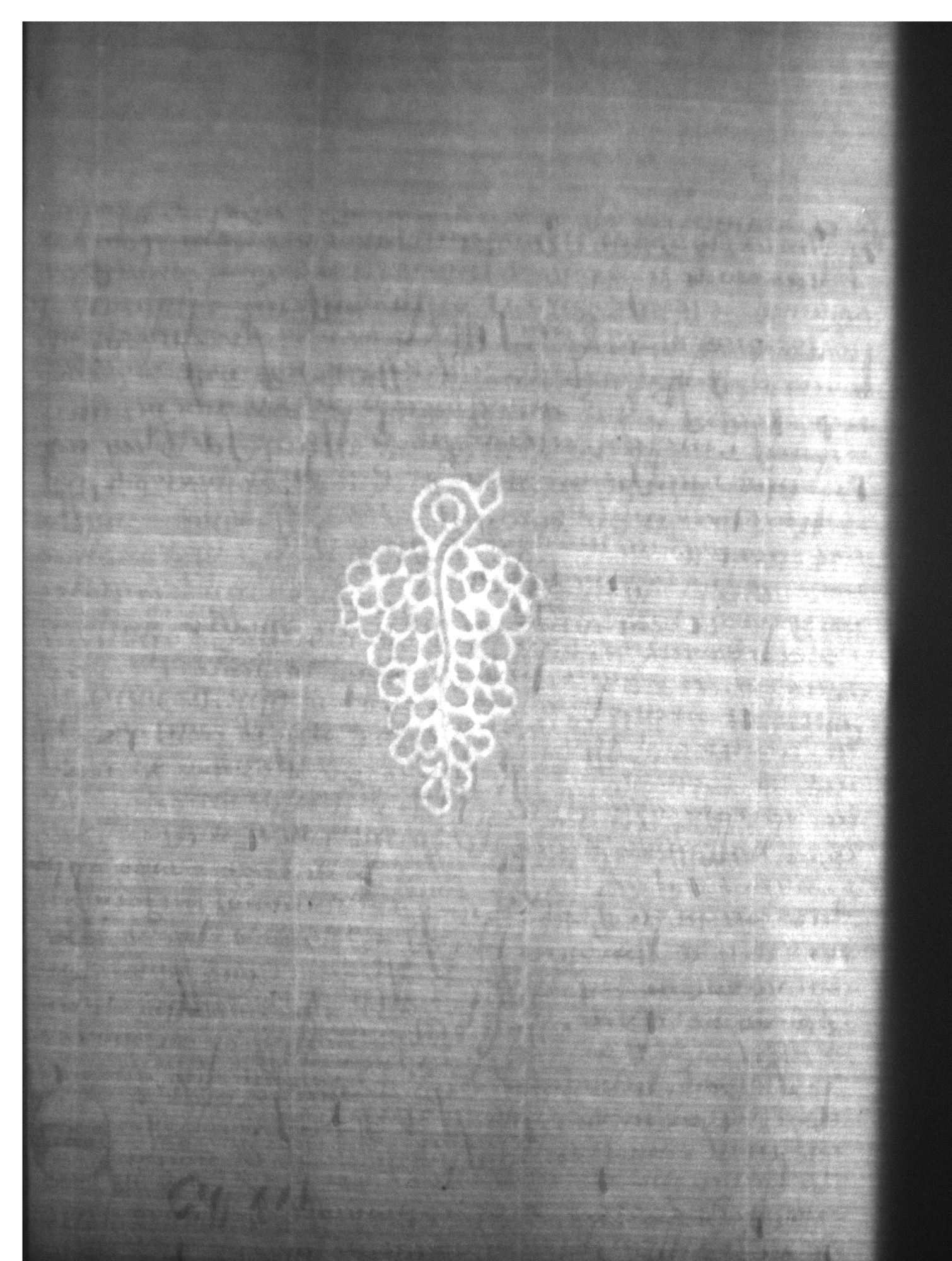 Watermark