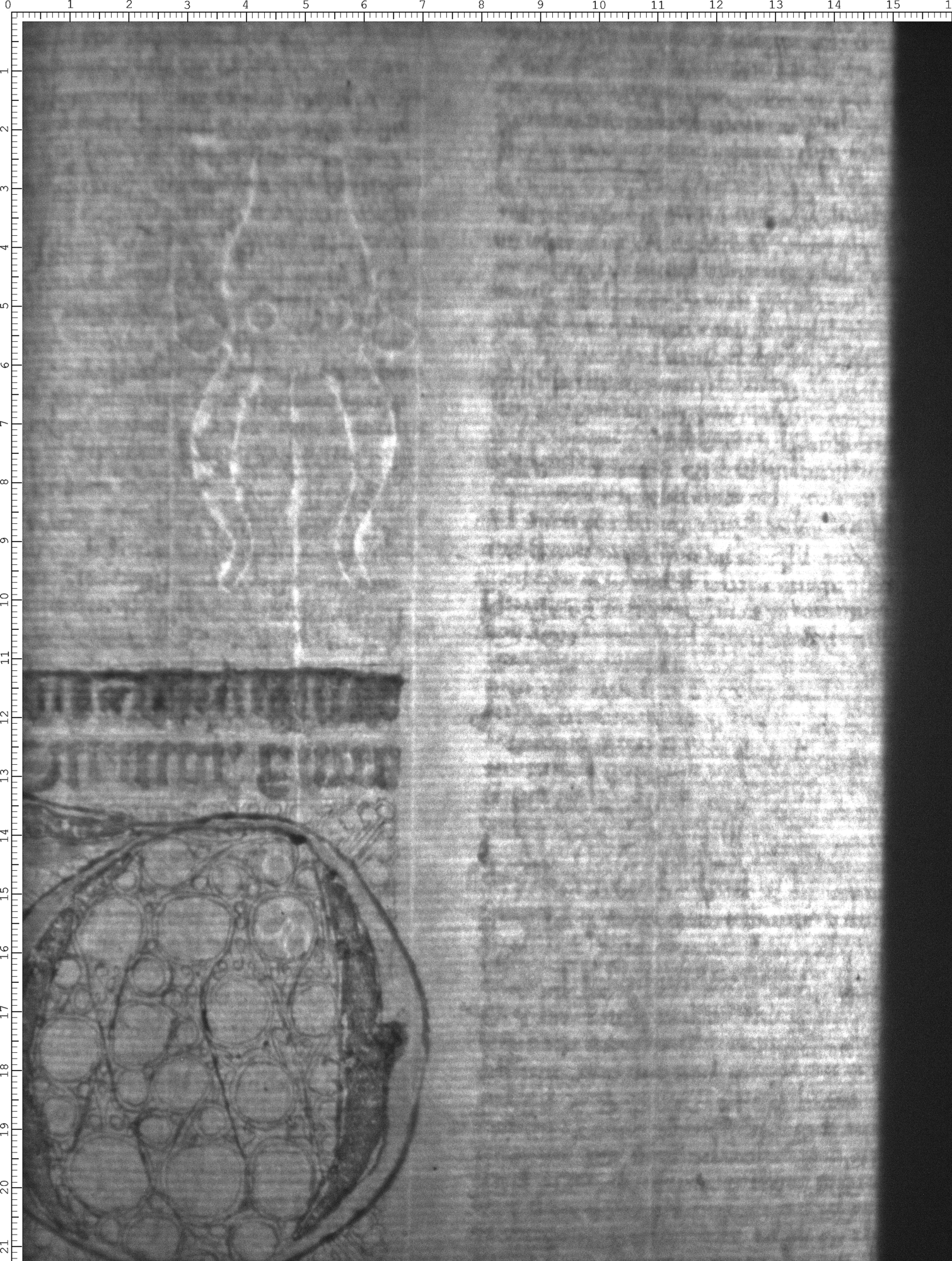 Watermark