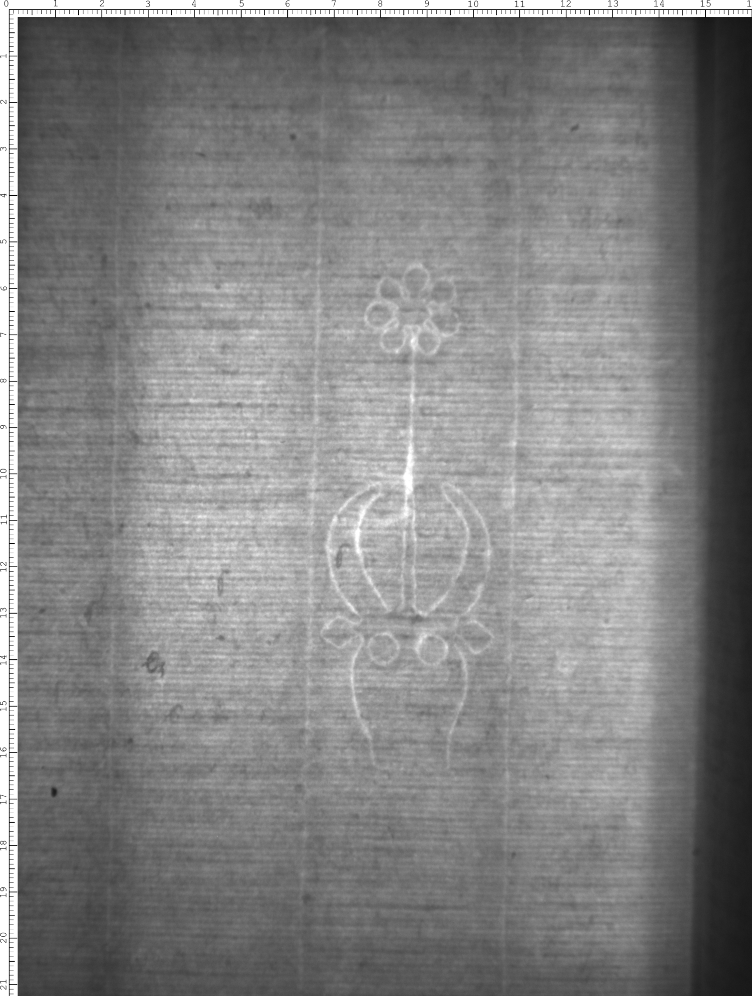 Watermark