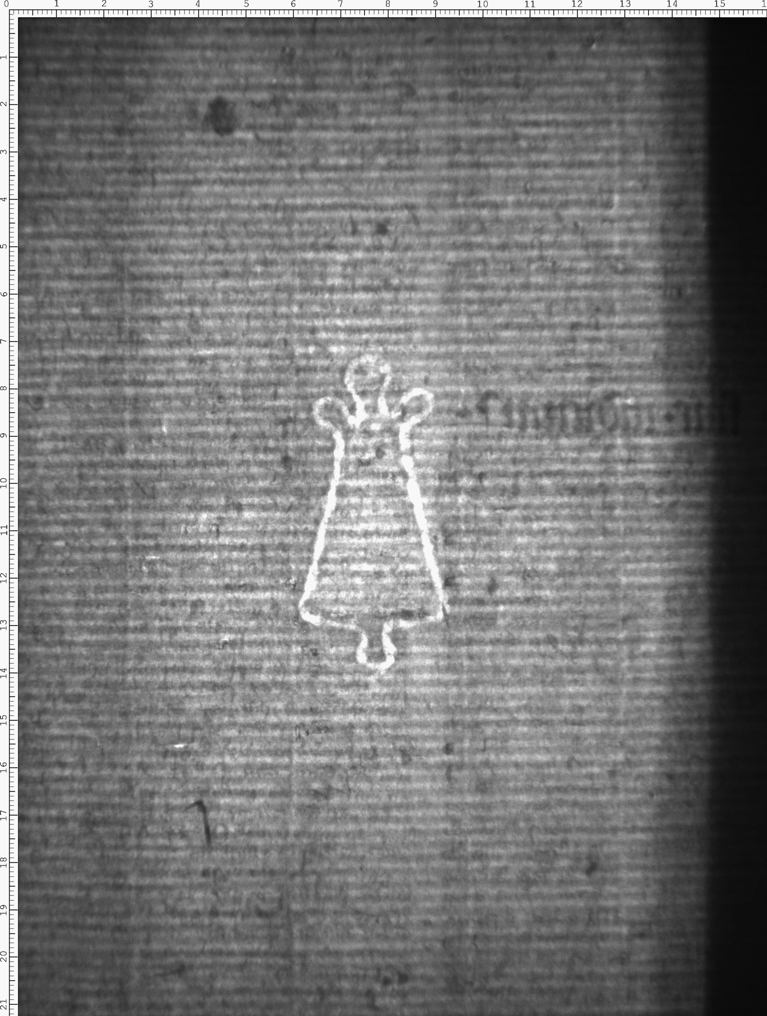 Watermark