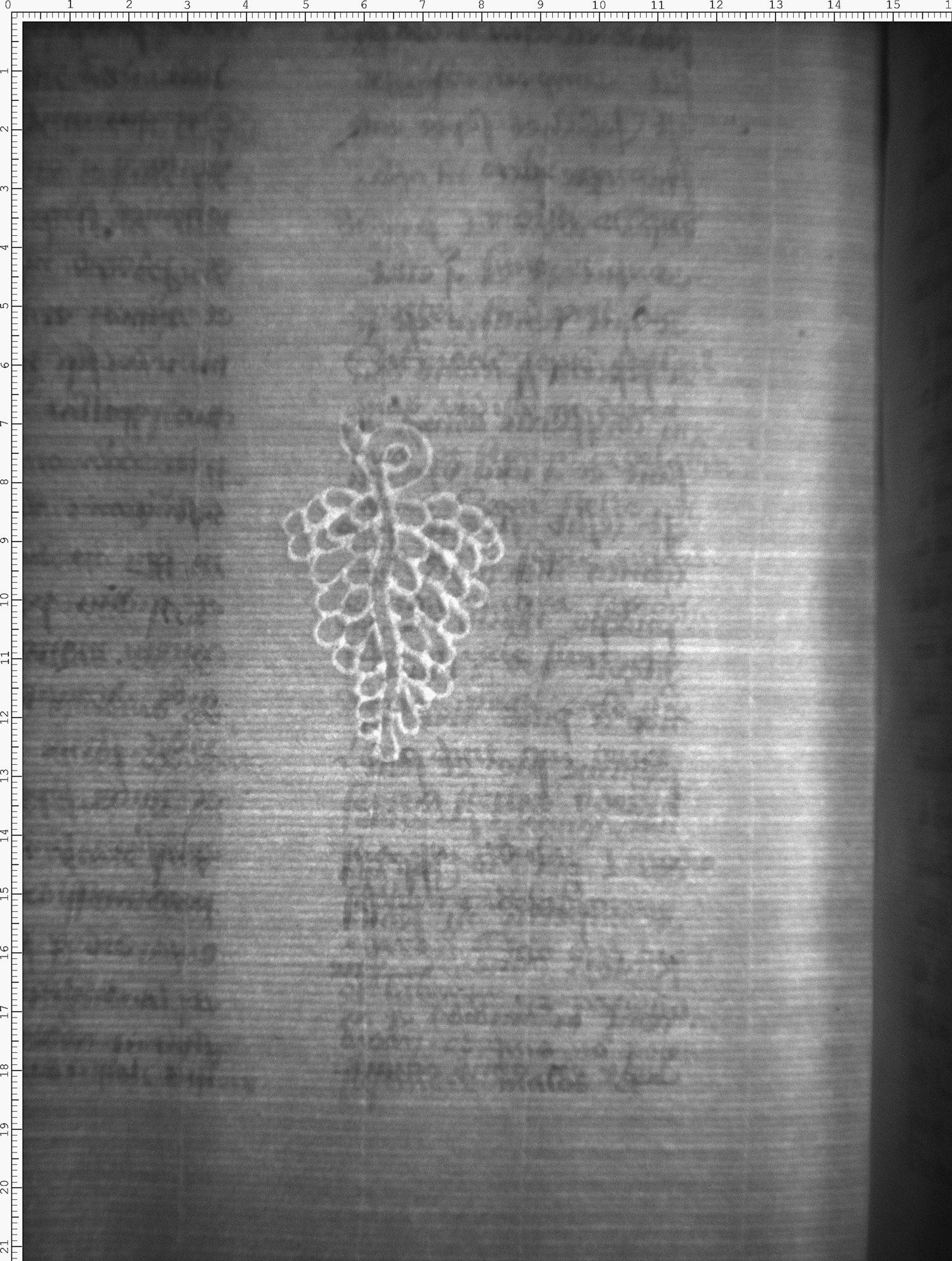 Watermark