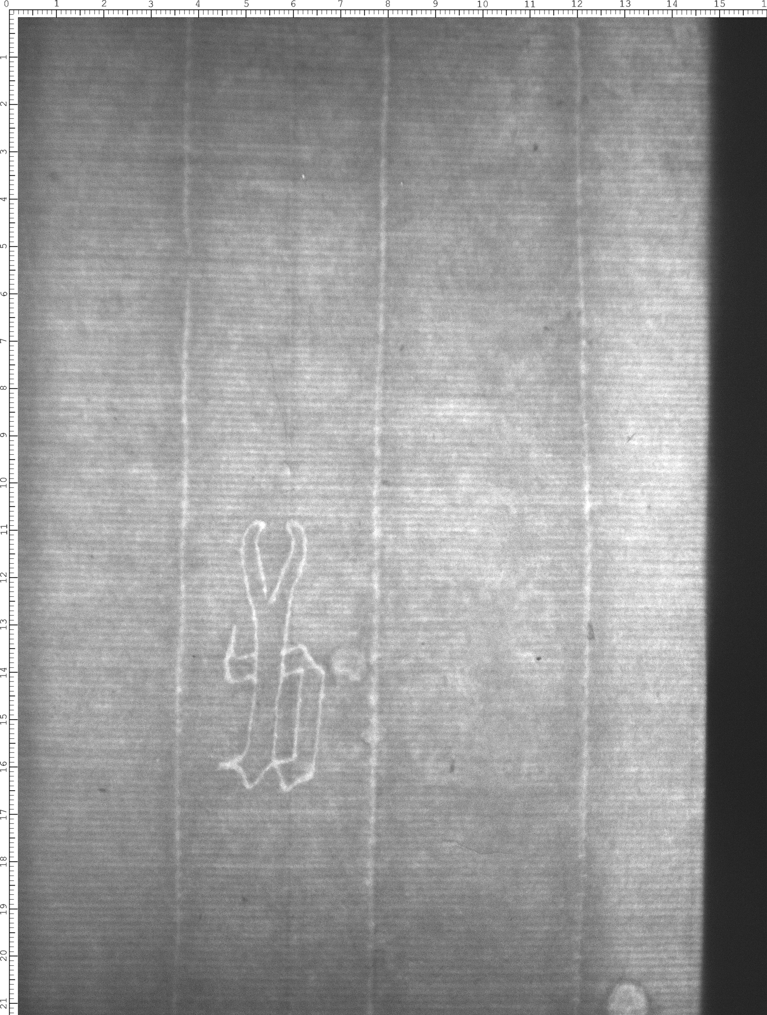 Watermark