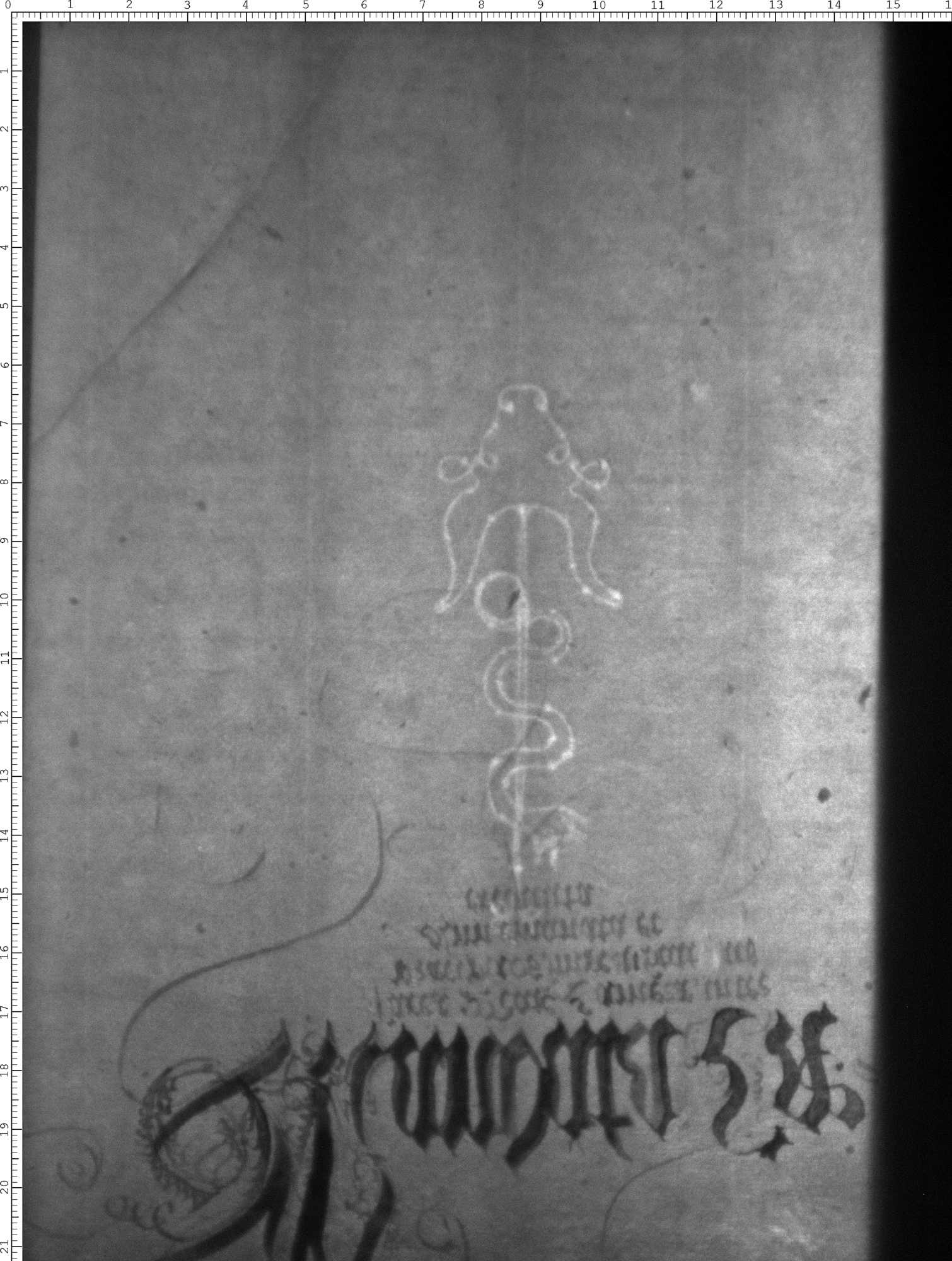 Watermark