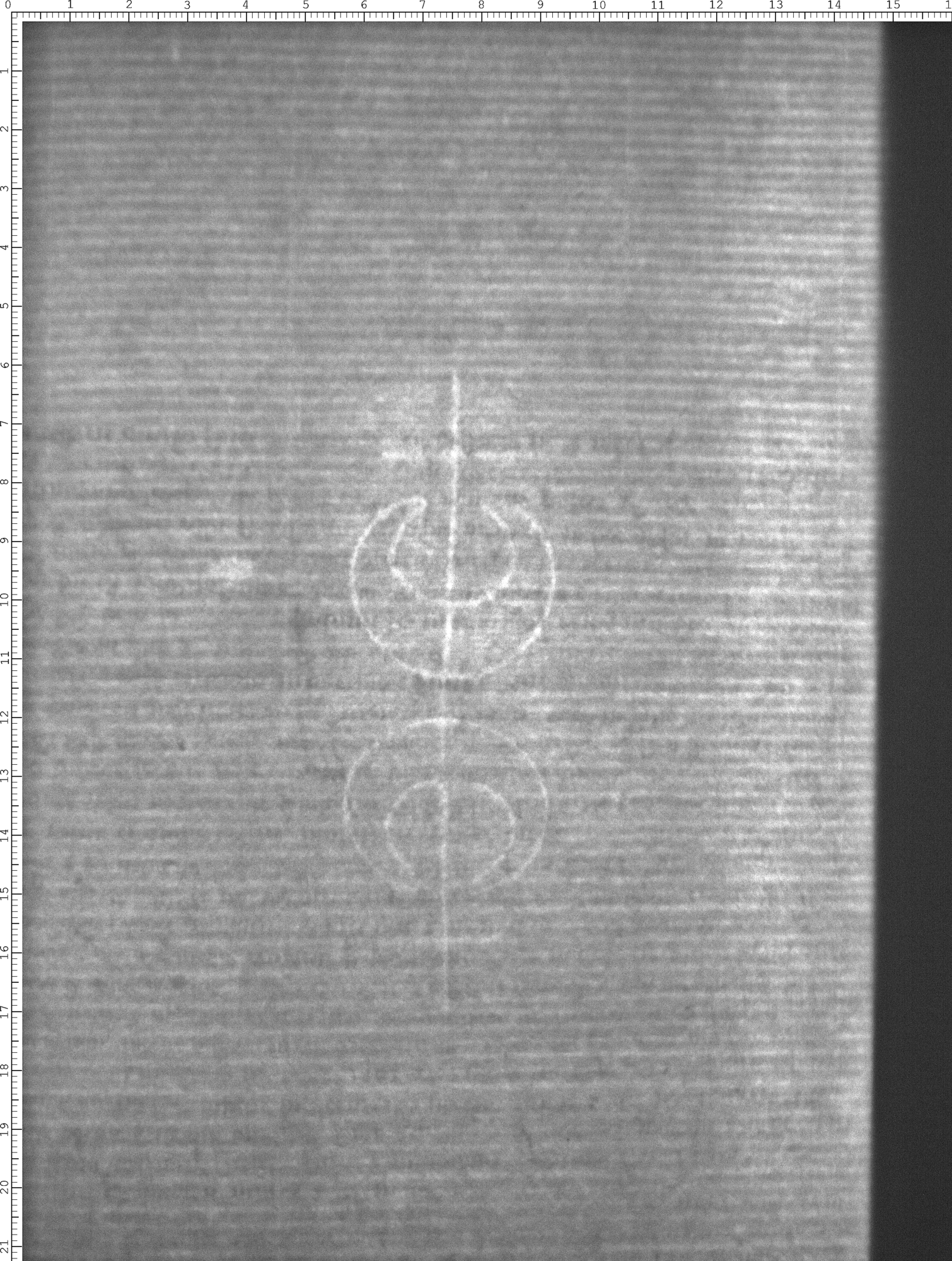 Watermark