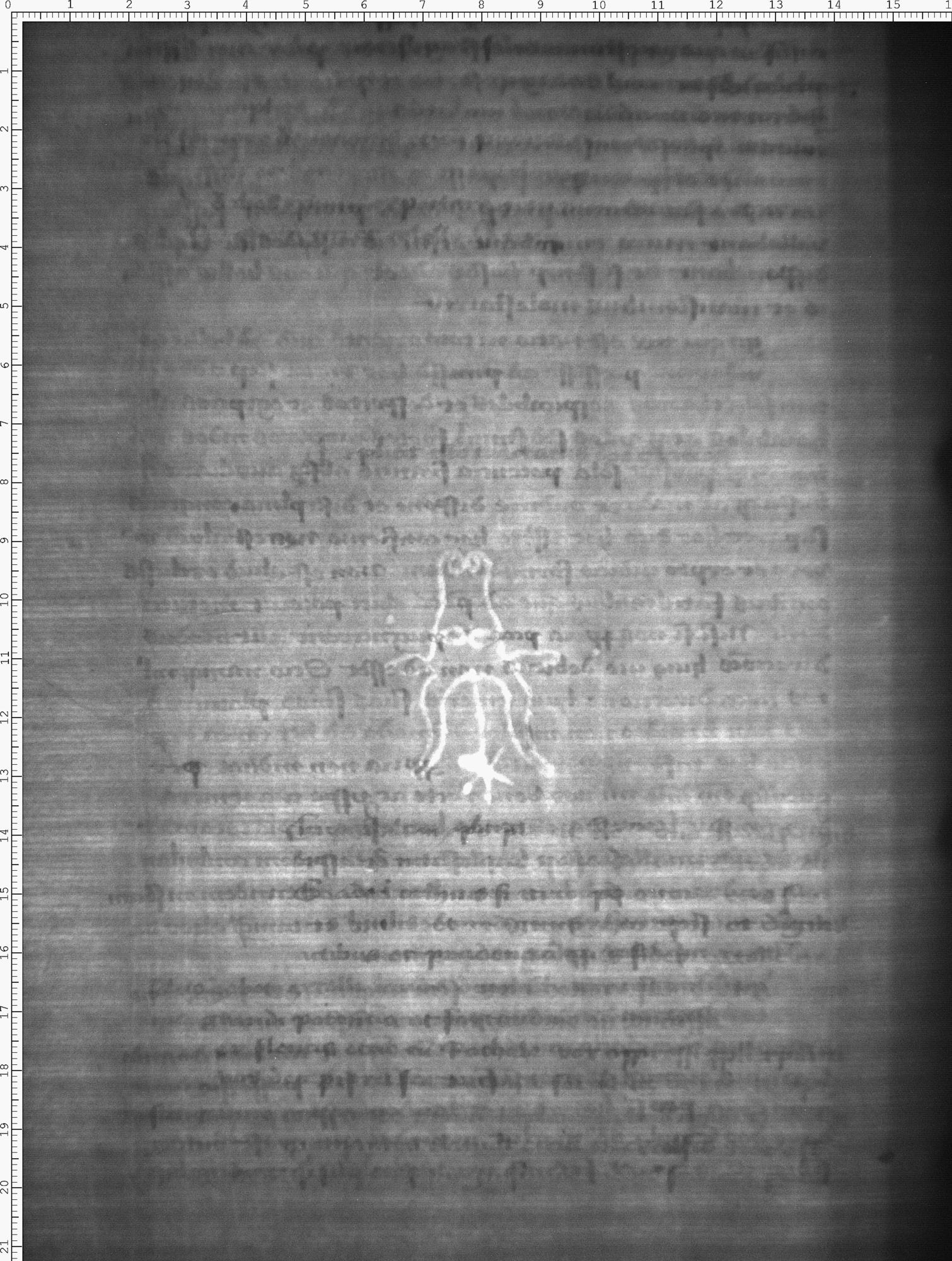 Watermark