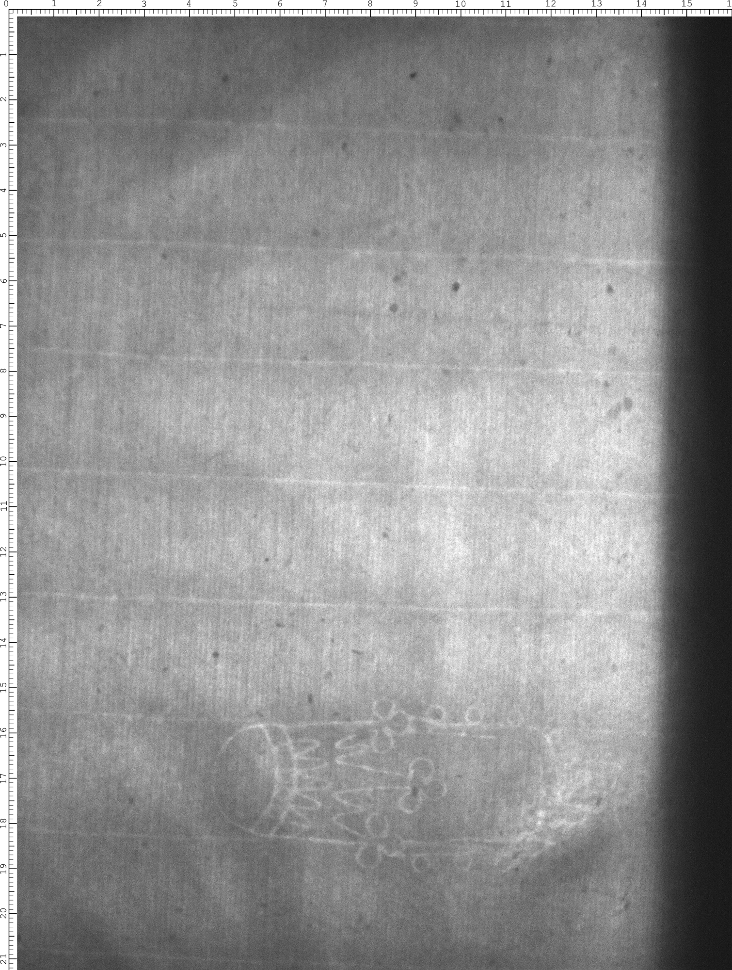 Watermark