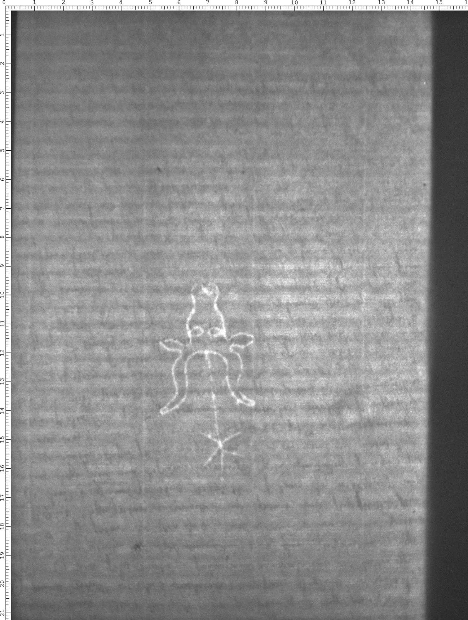Watermark