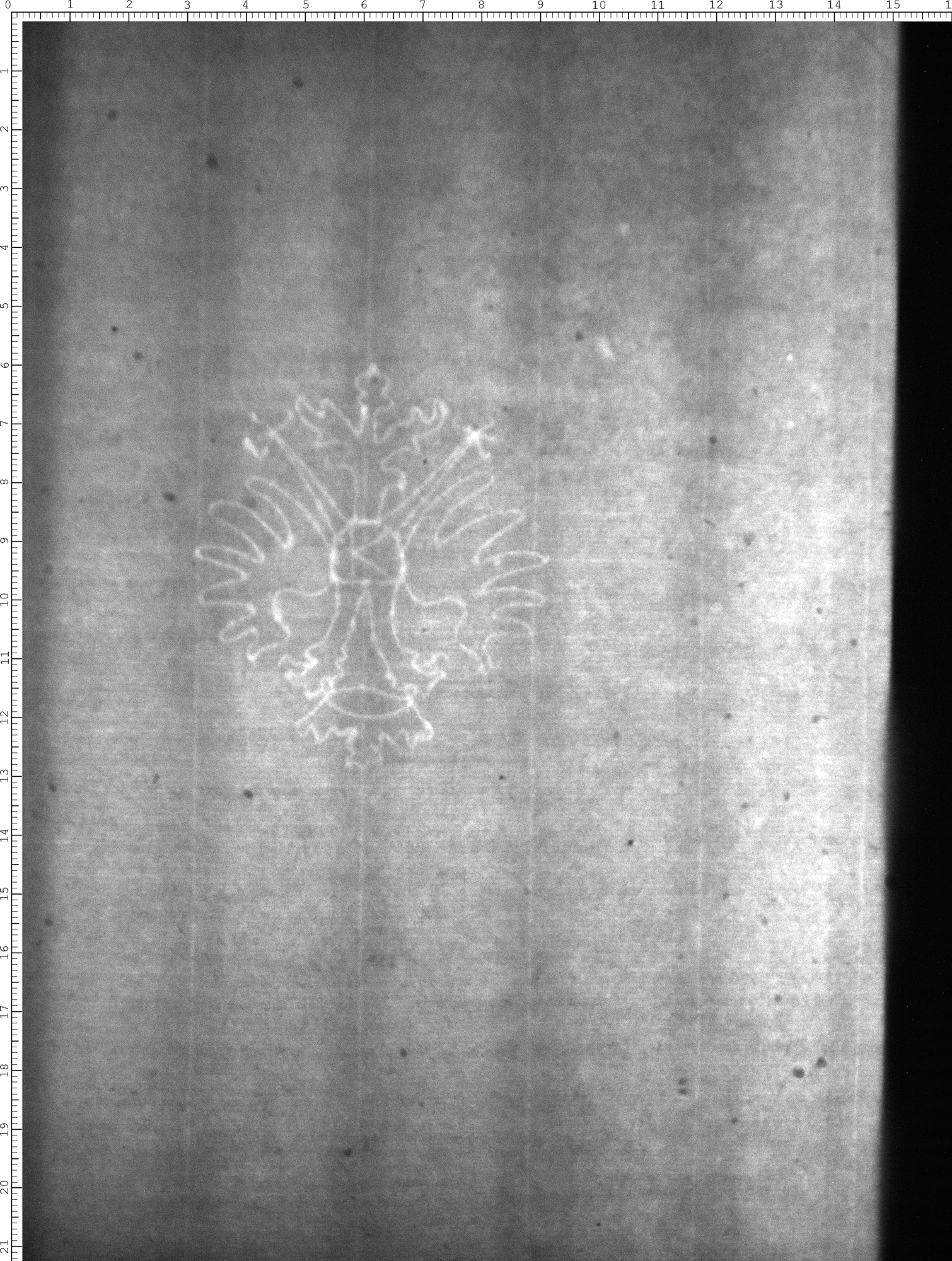 Watermark