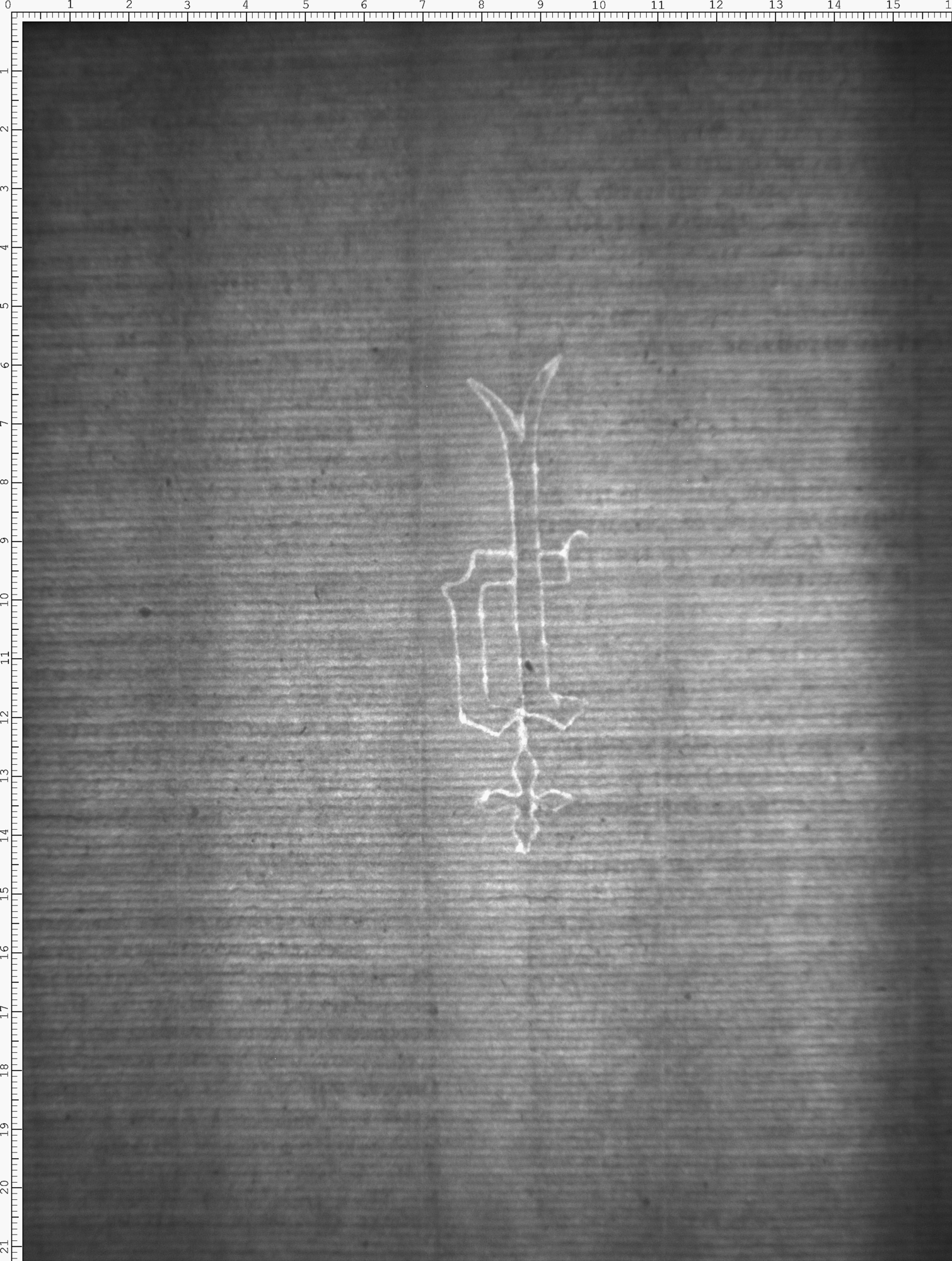 Watermark