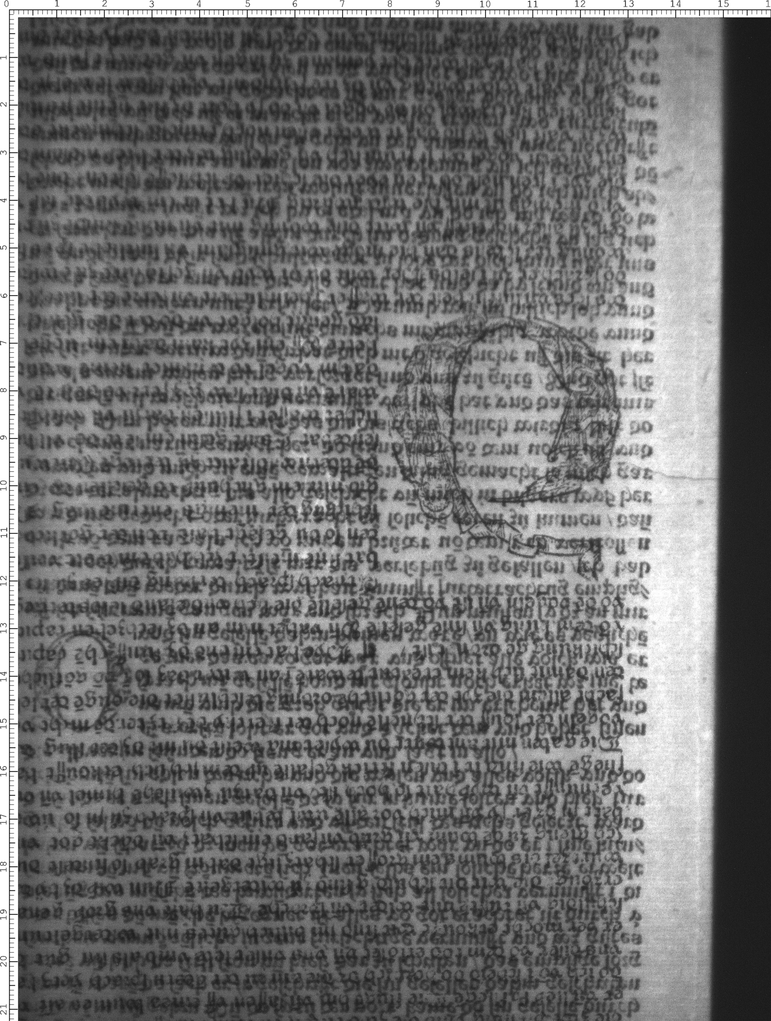 Watermark