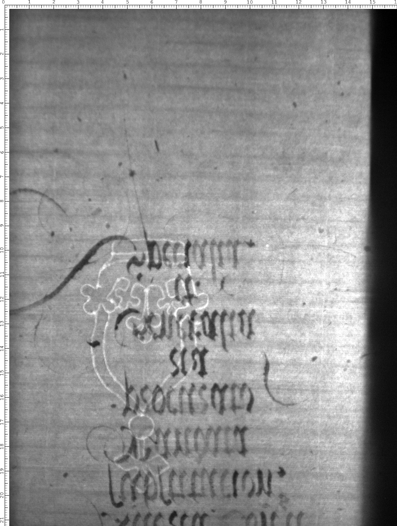 Watermark