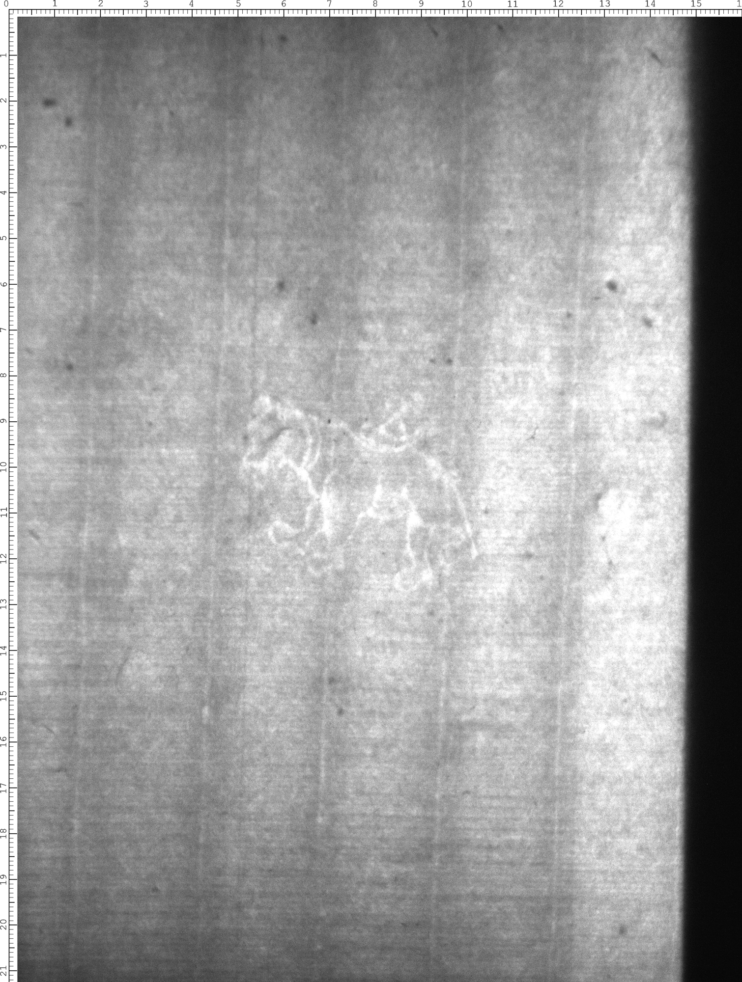 Watermark
