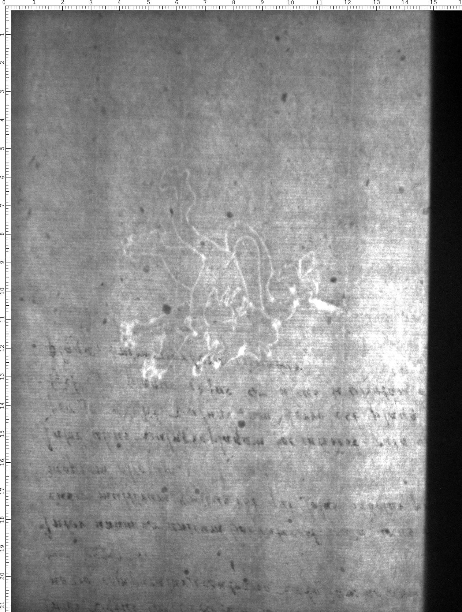 Watermark