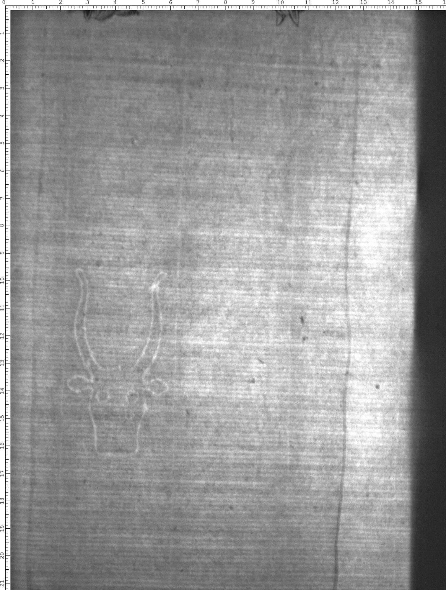 Watermark