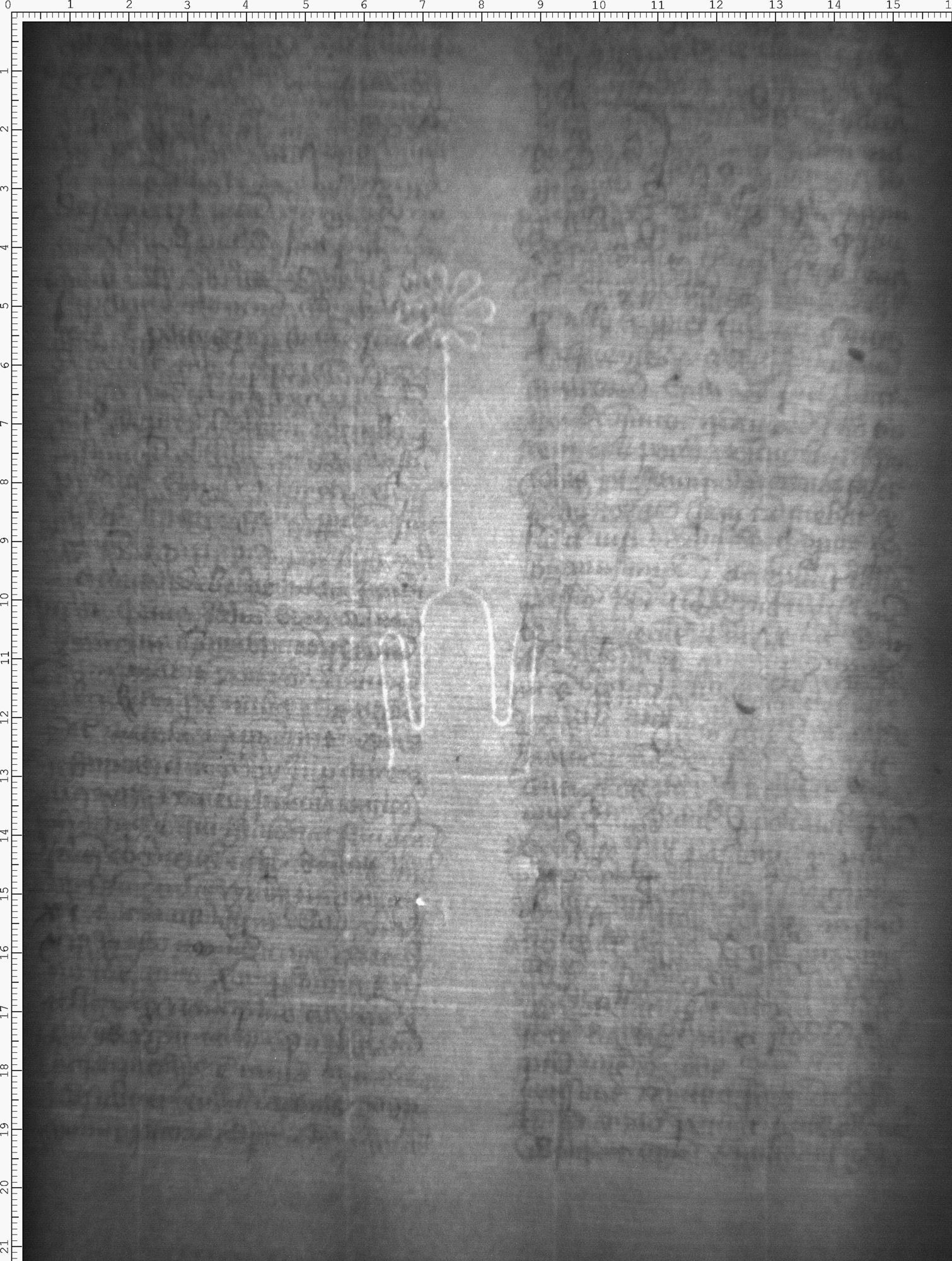 Watermark