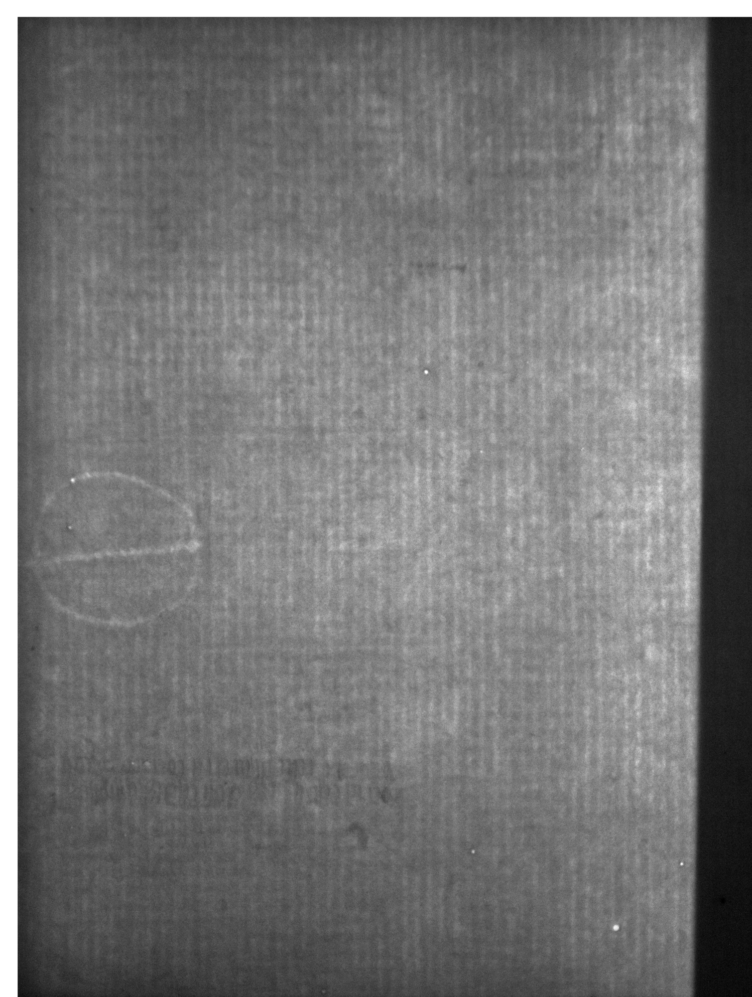 Watermark