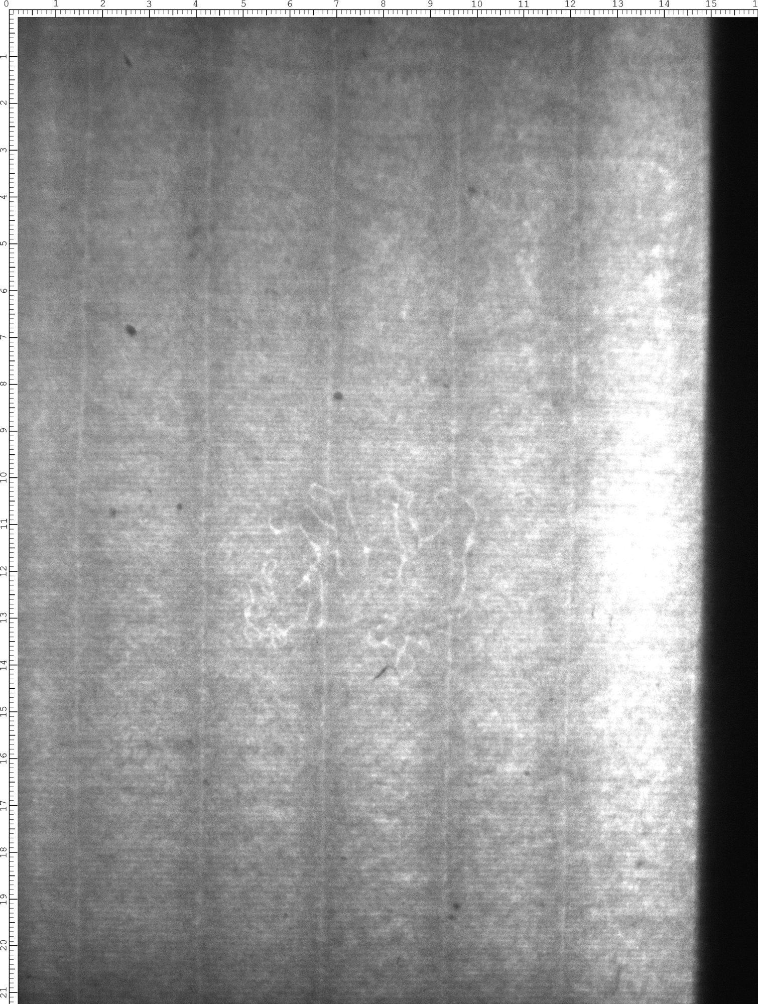 Watermark
