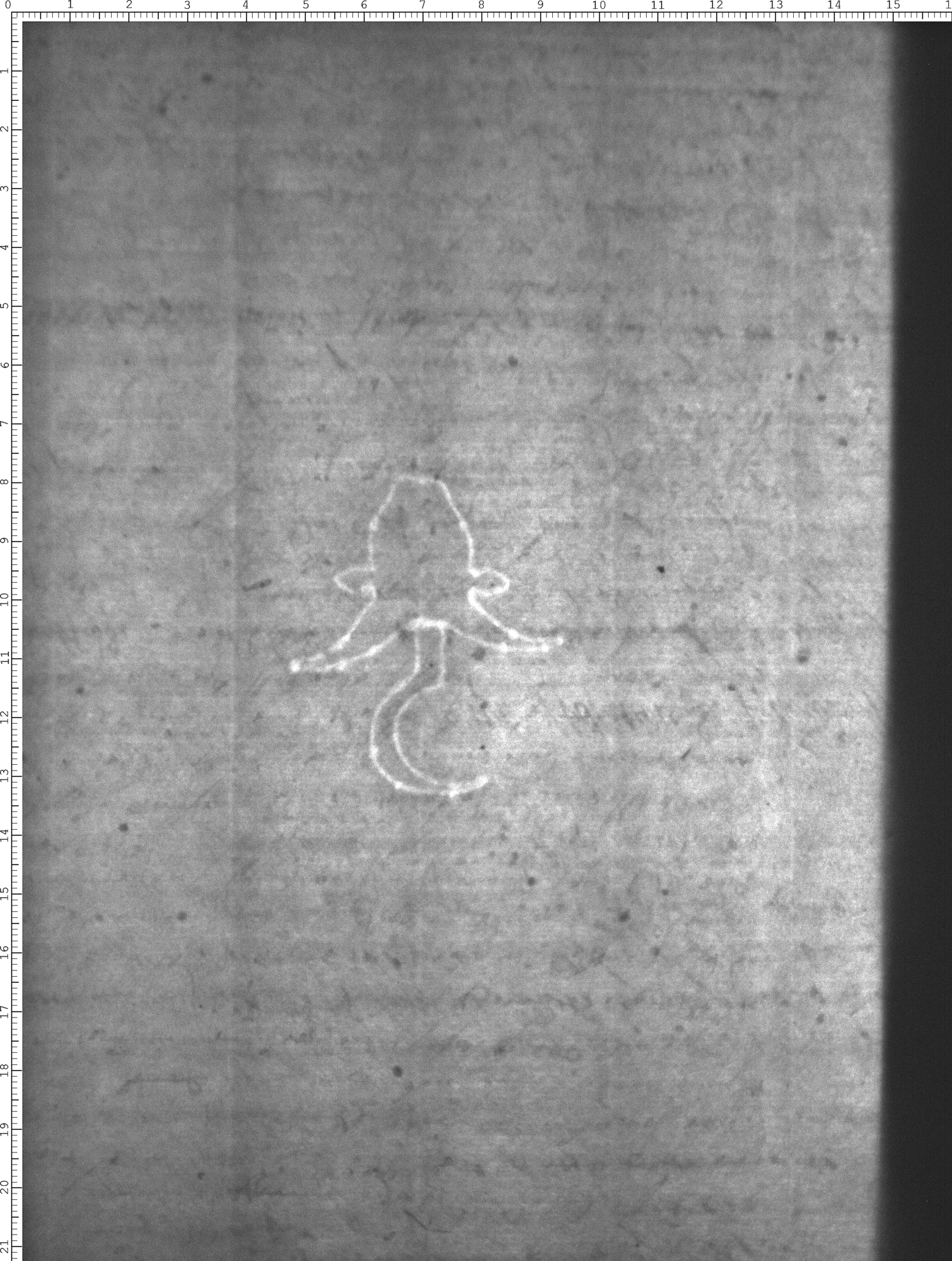 Watermark