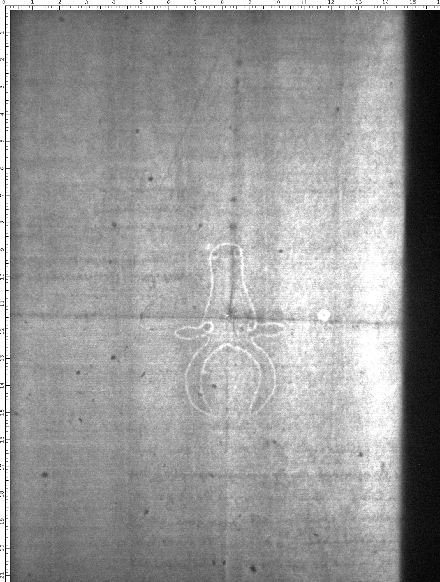 Watermark