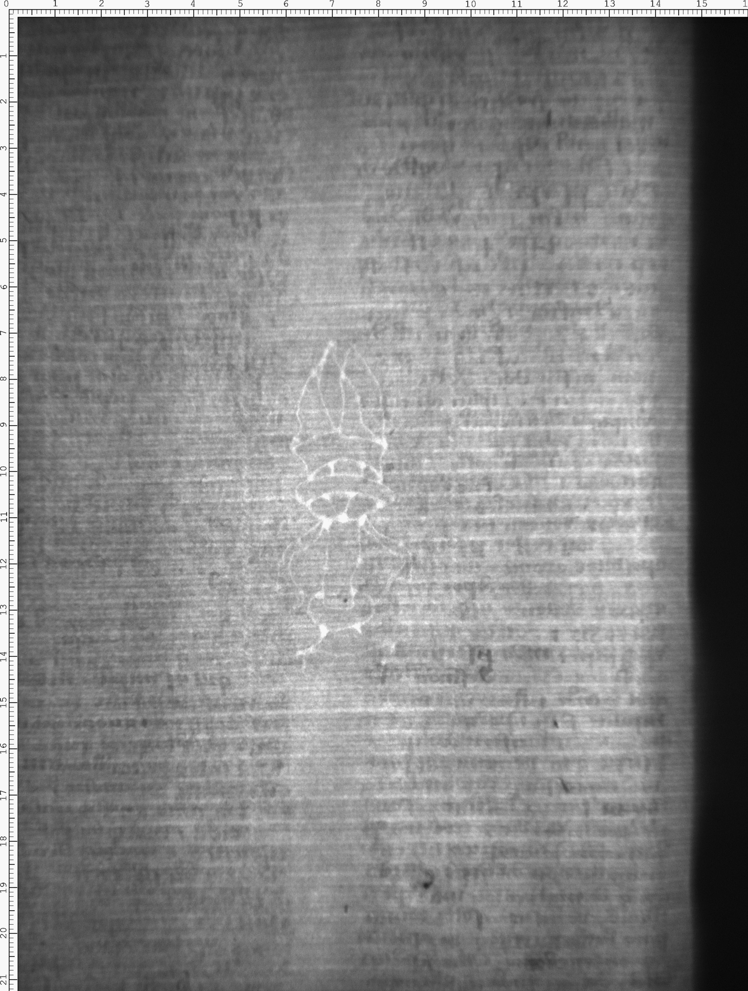 Watermark