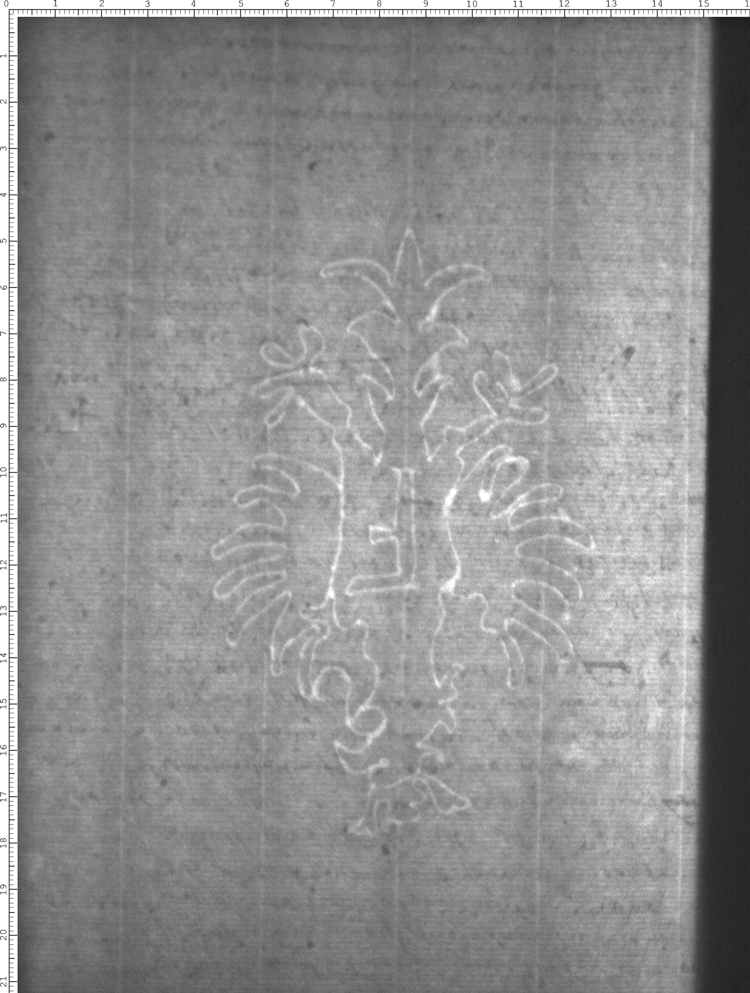 Watermark
