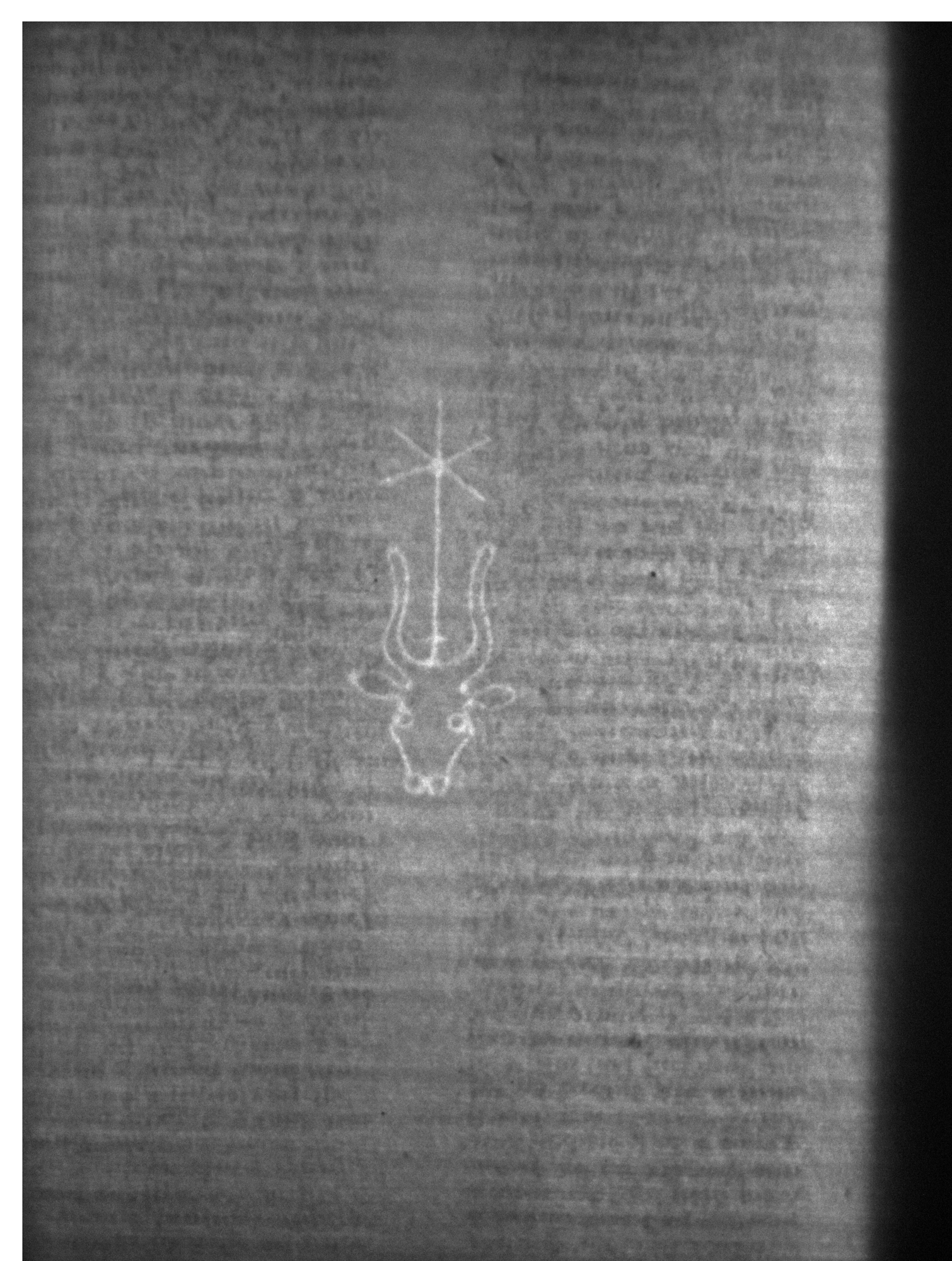 Watermark