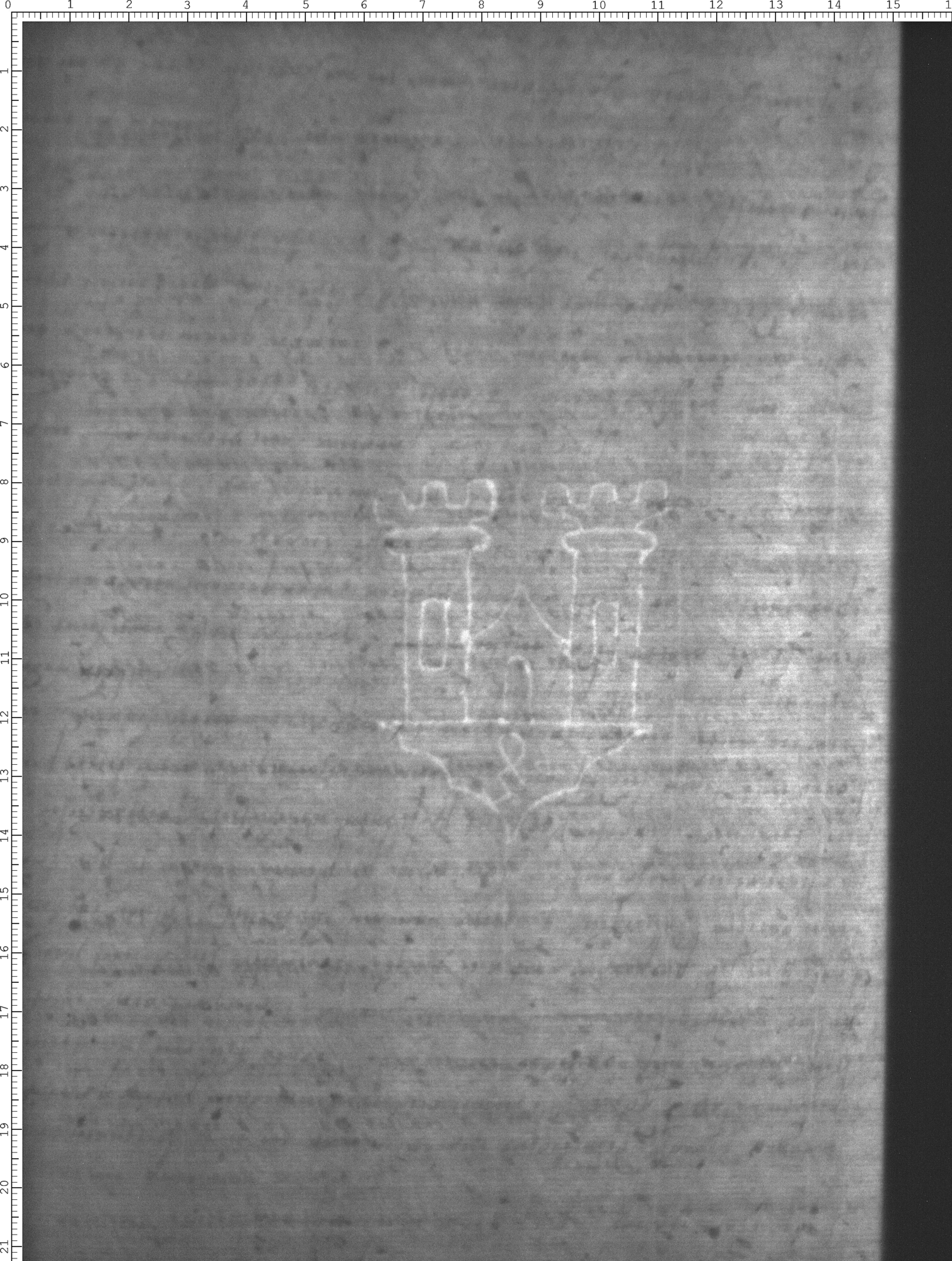 Watermark