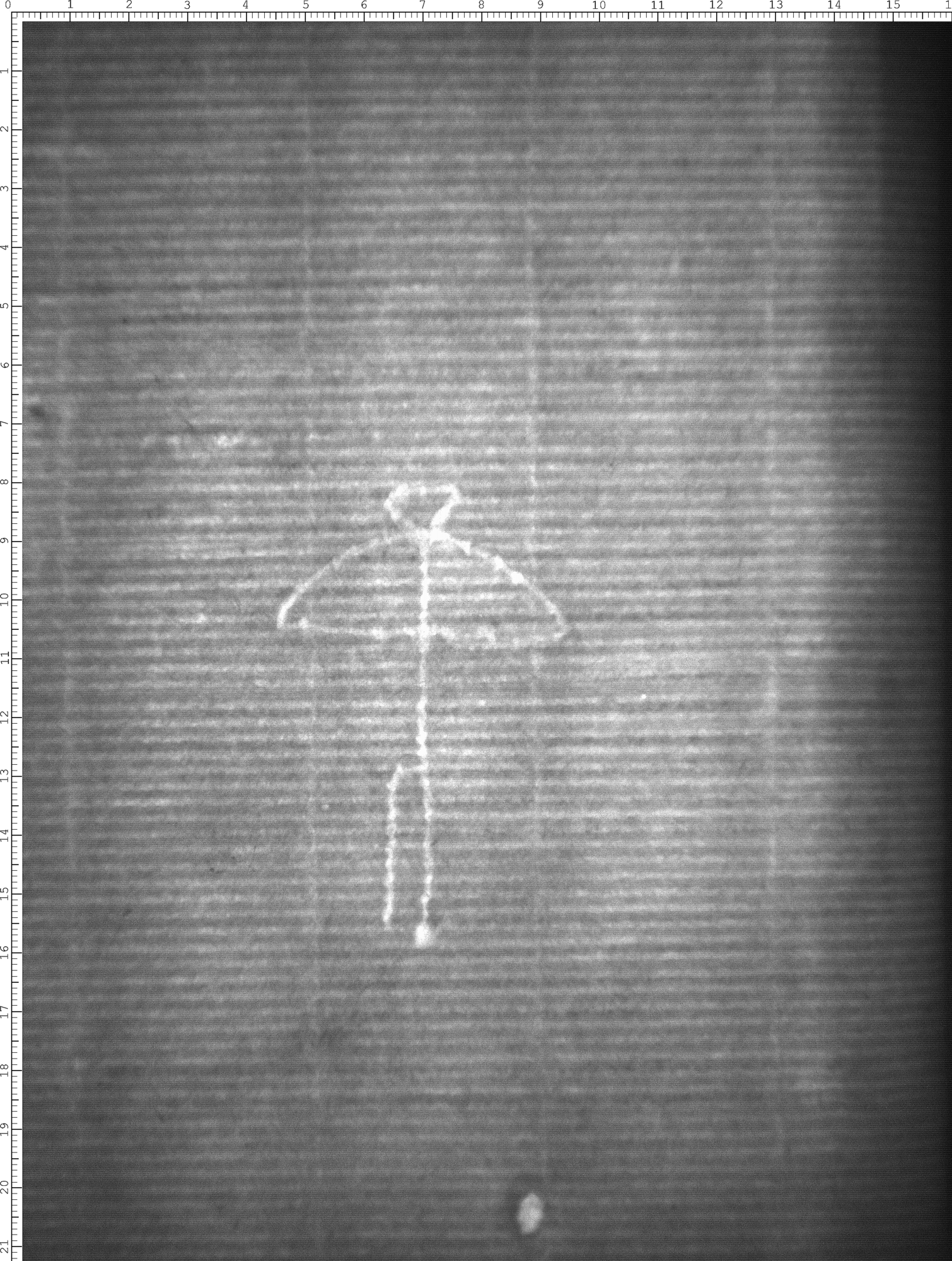 Watermark