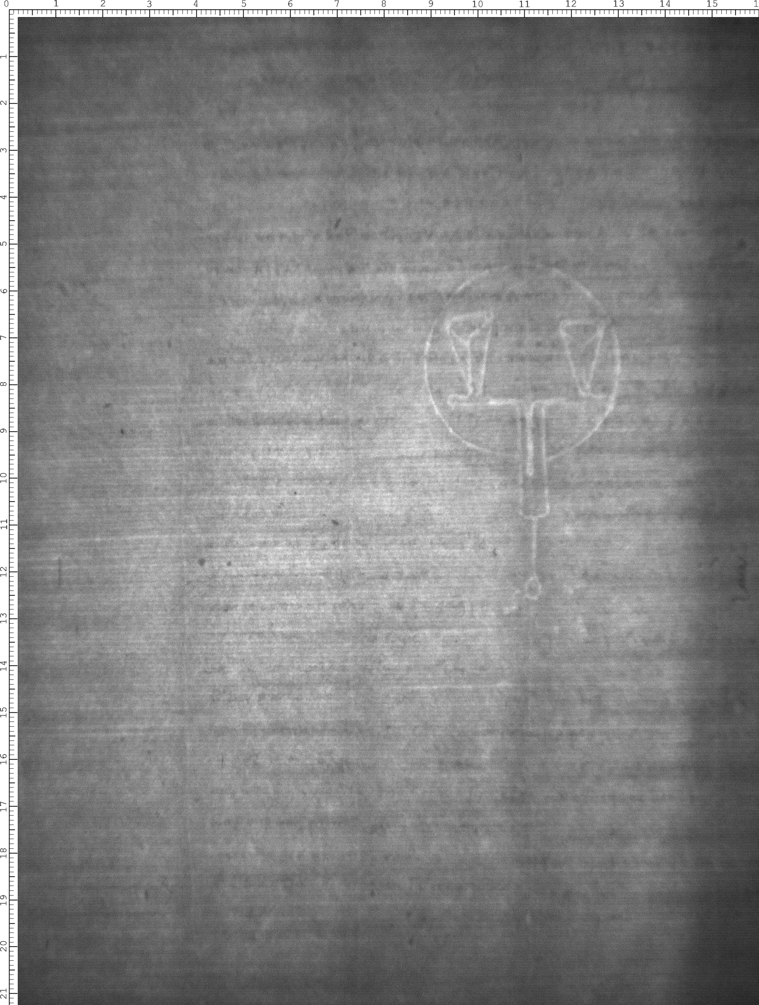 Watermark
