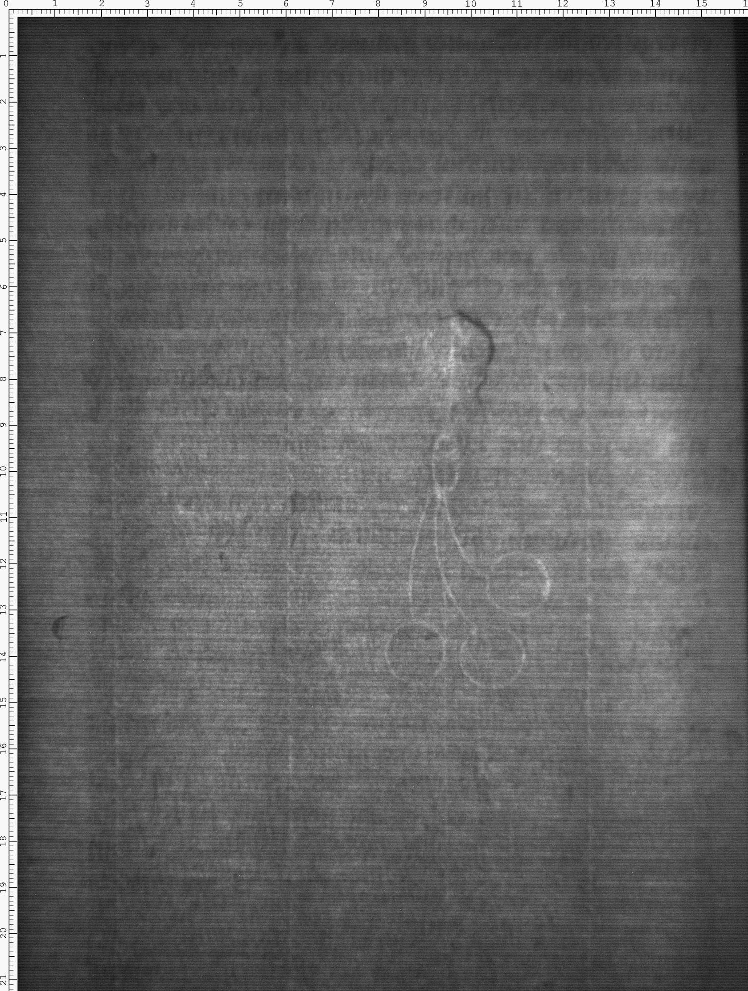 Watermark