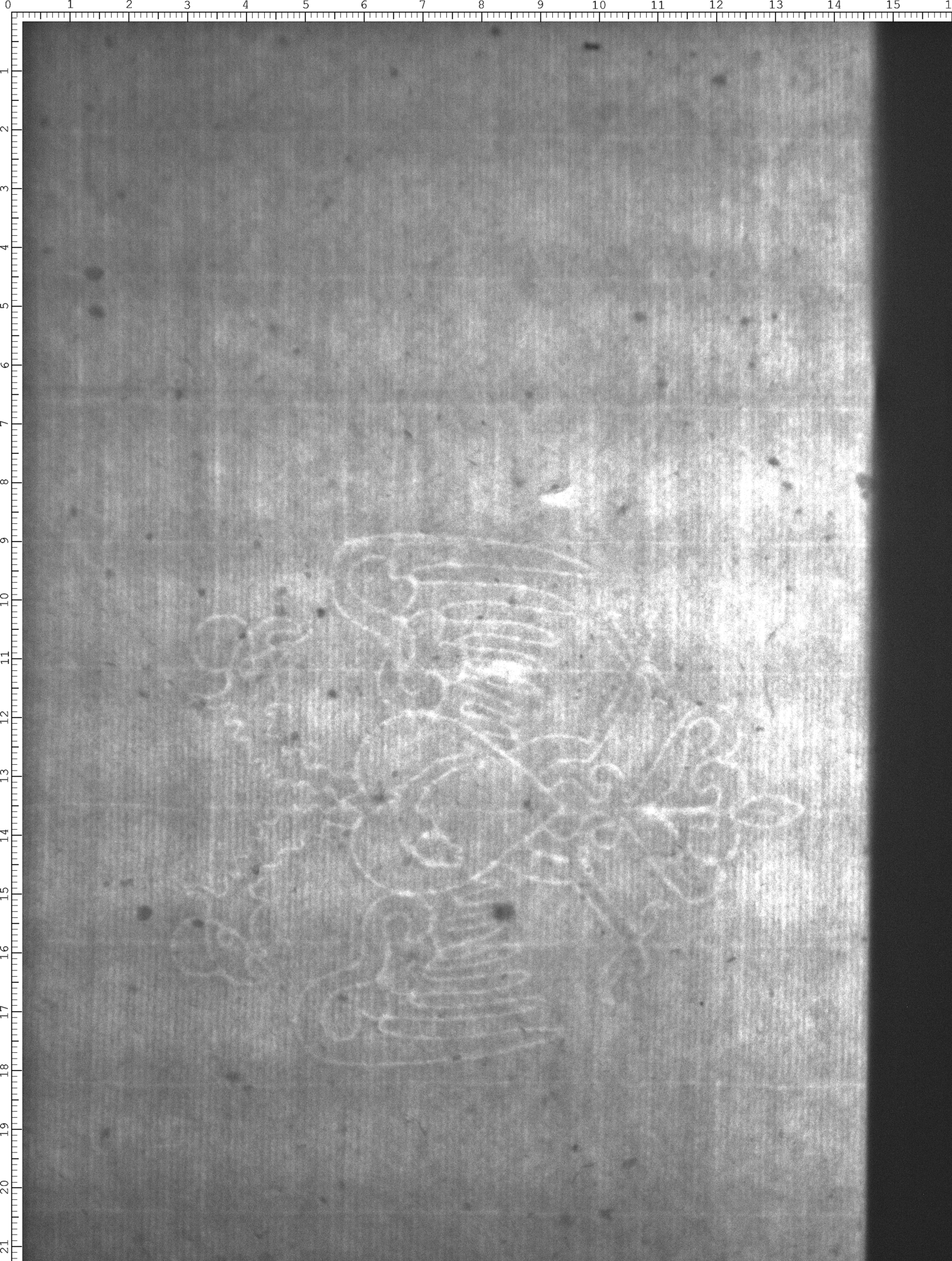 Watermark