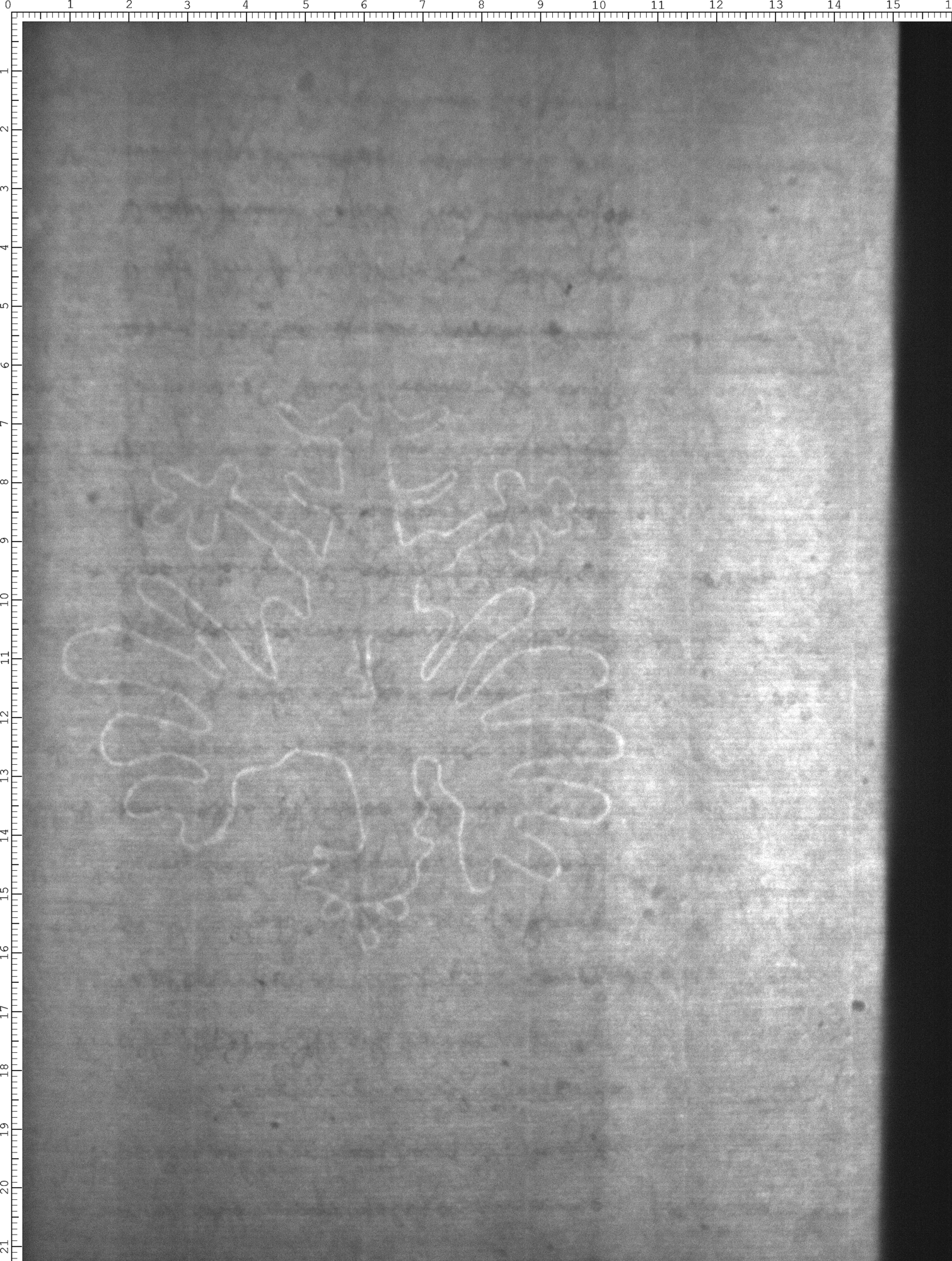 Watermark