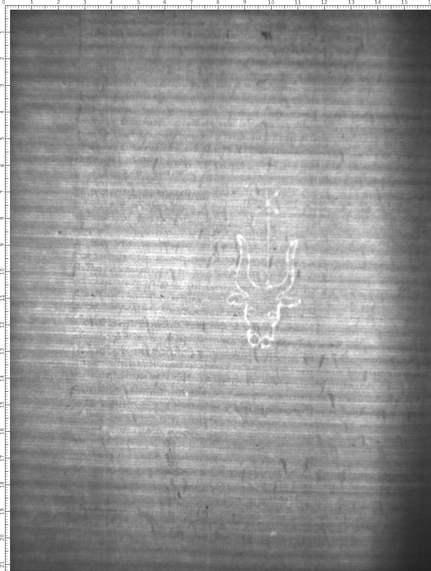 Watermark