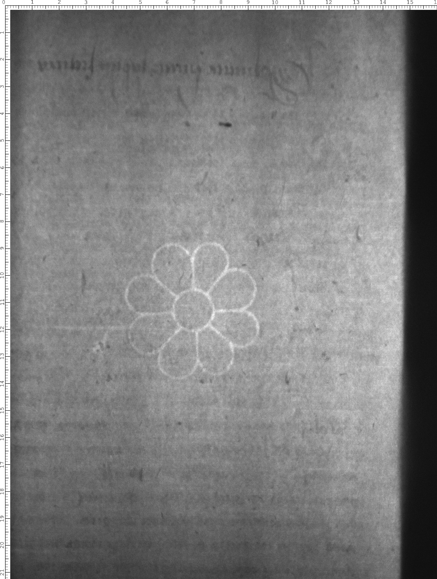 Watermark