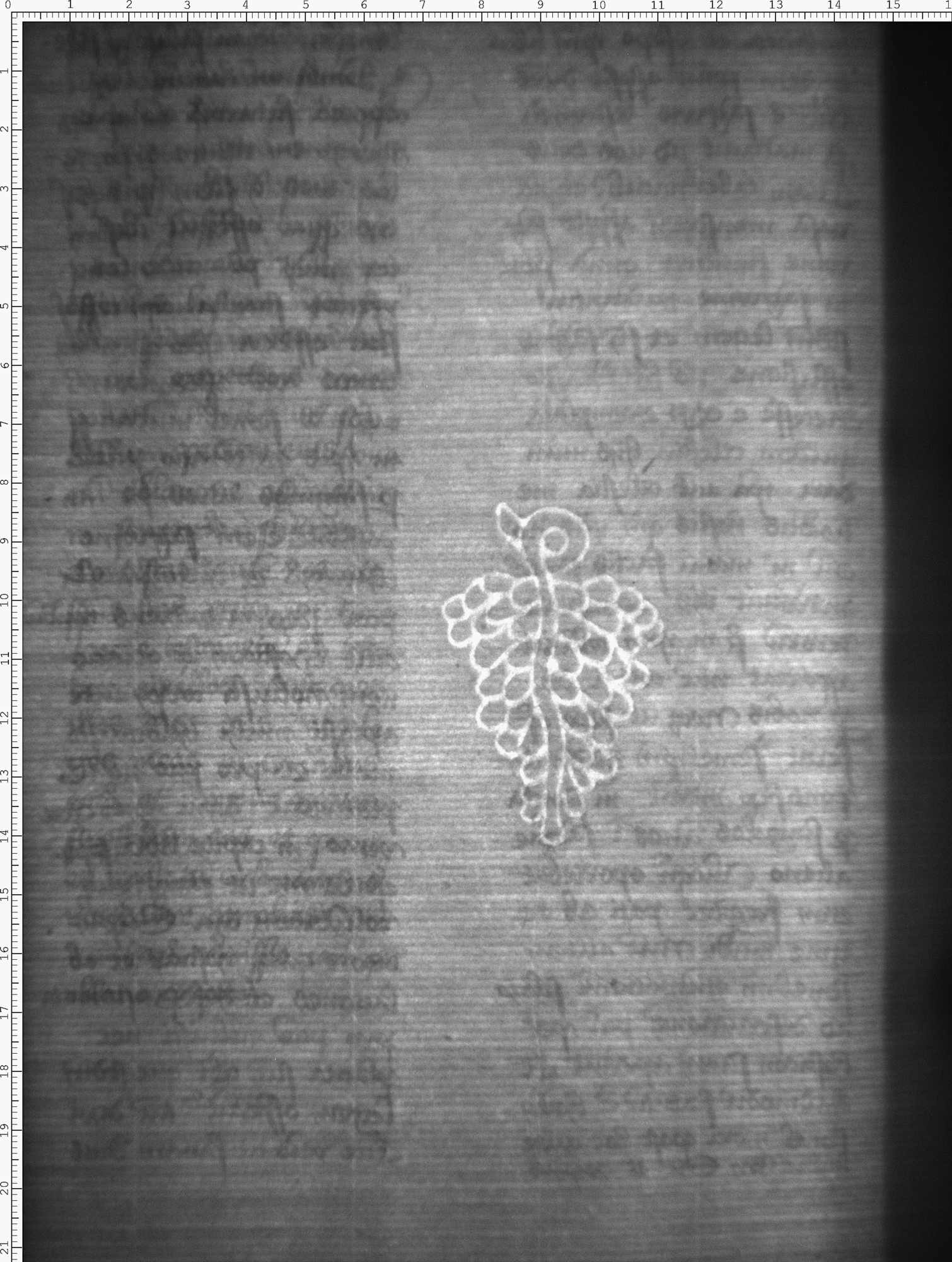 Watermark