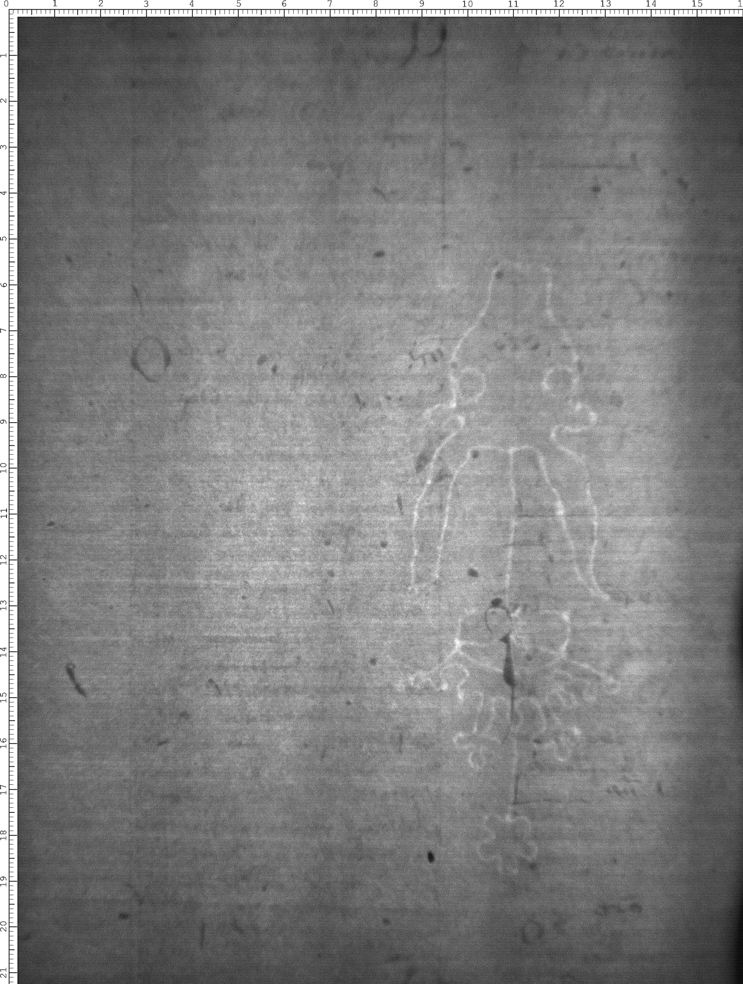 Watermark