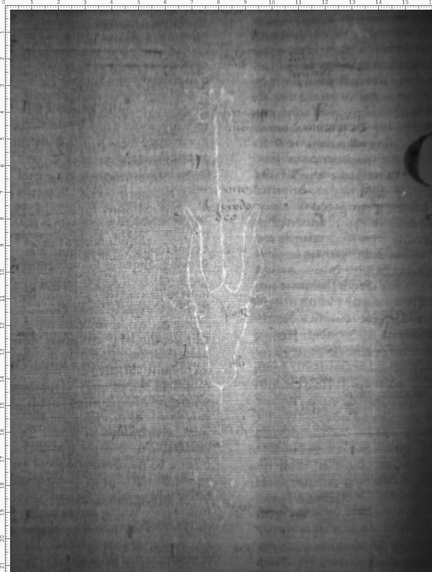 Watermark