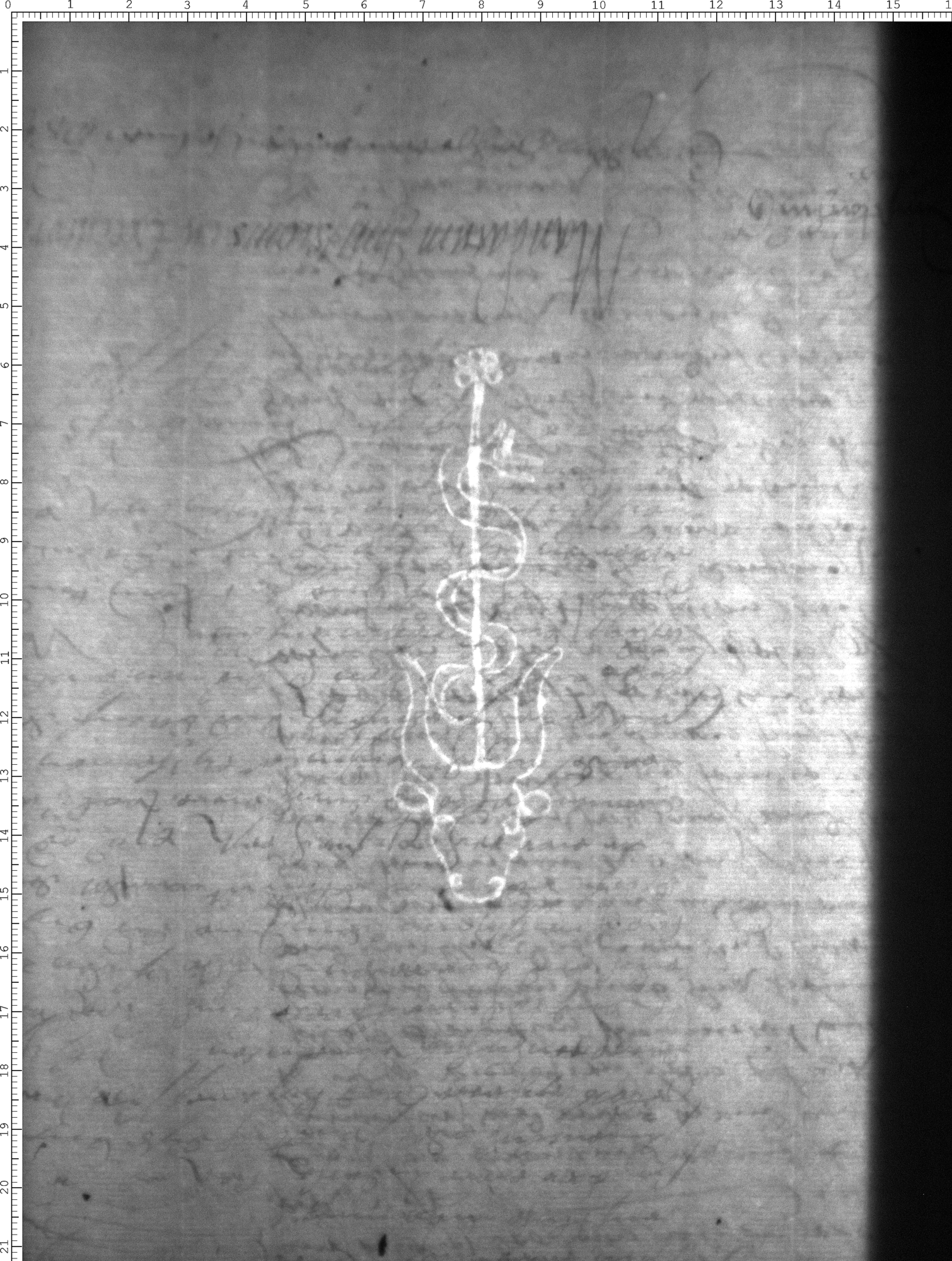 Watermark