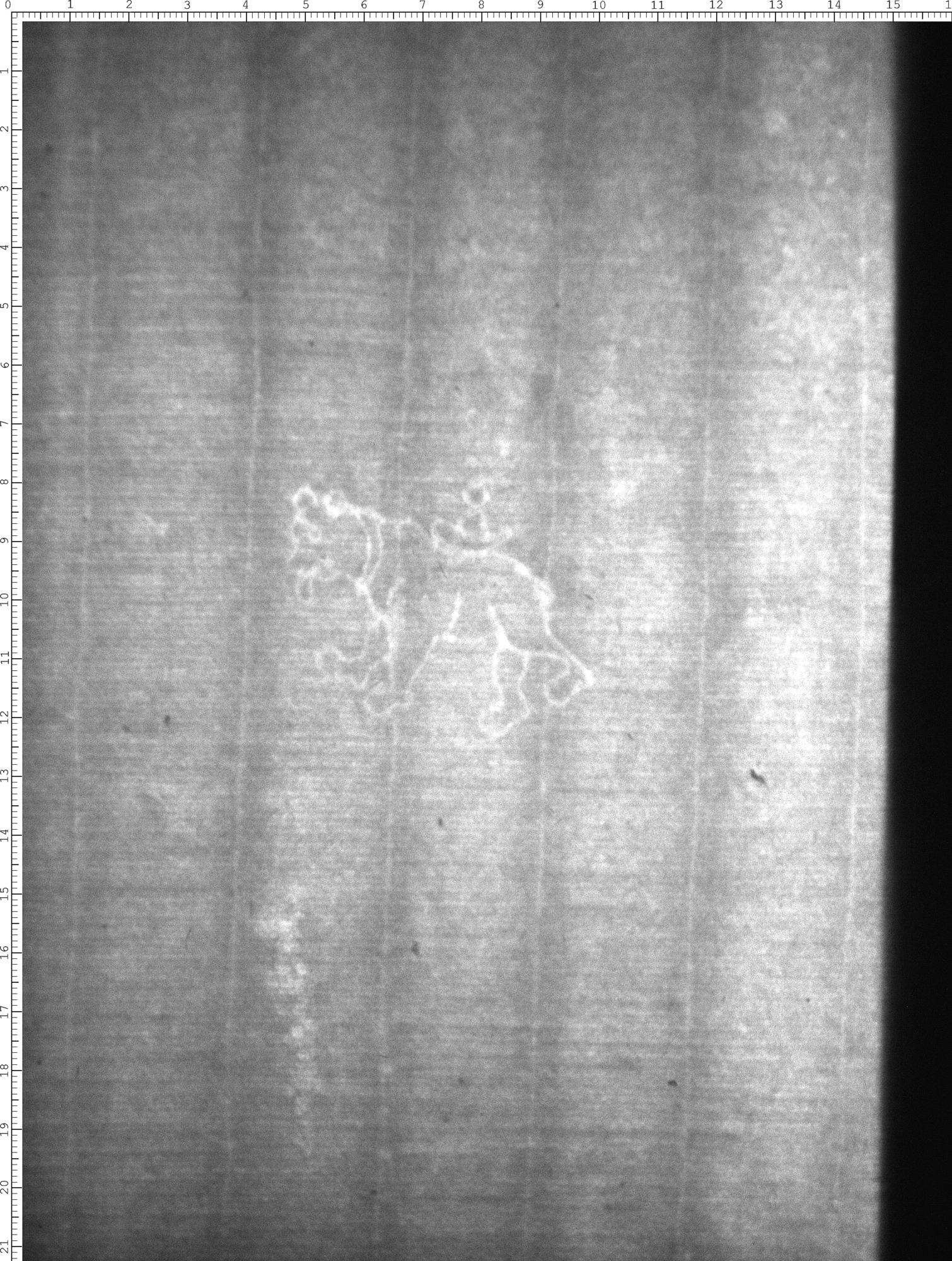 Watermark