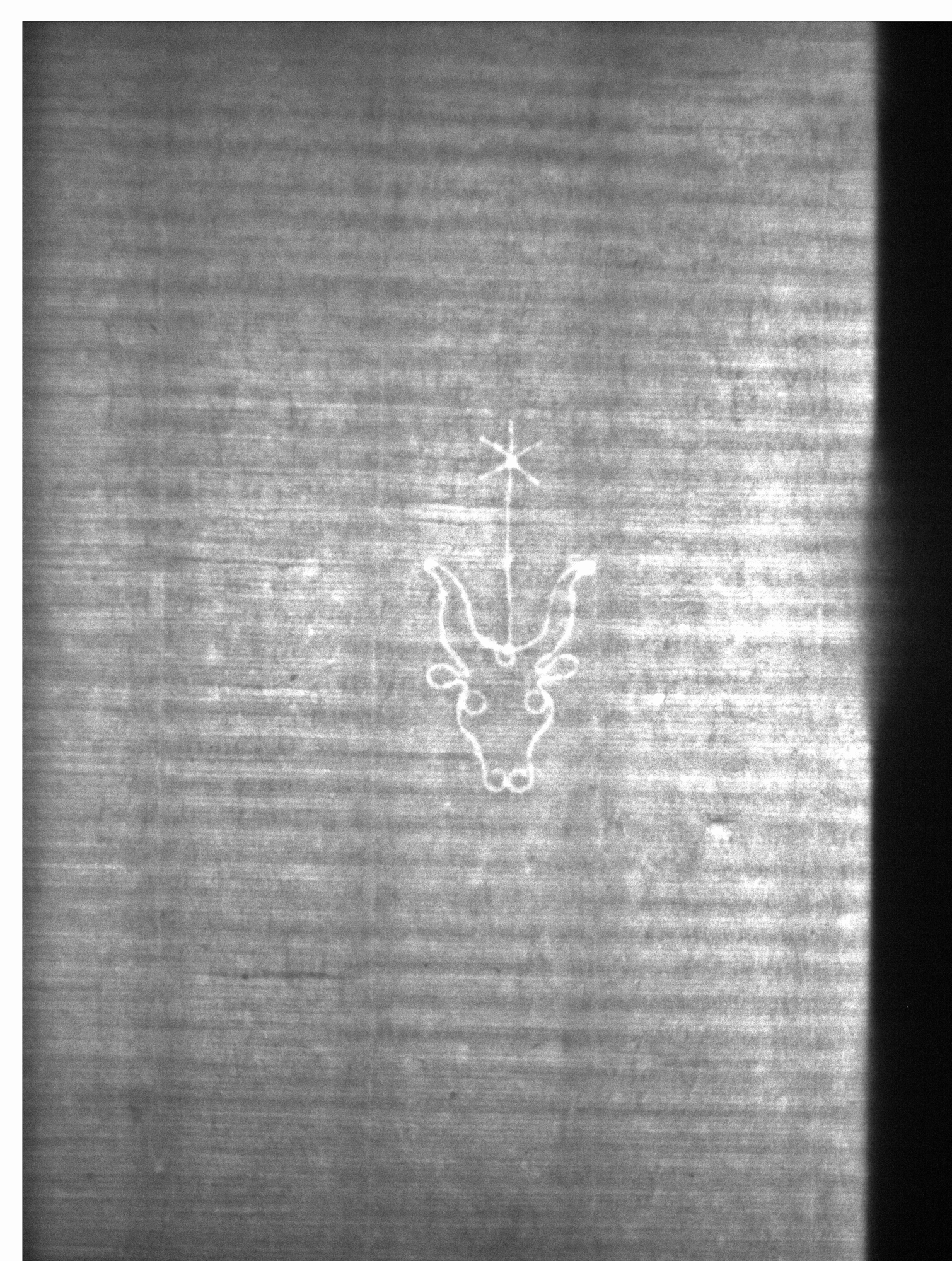 Watermark
