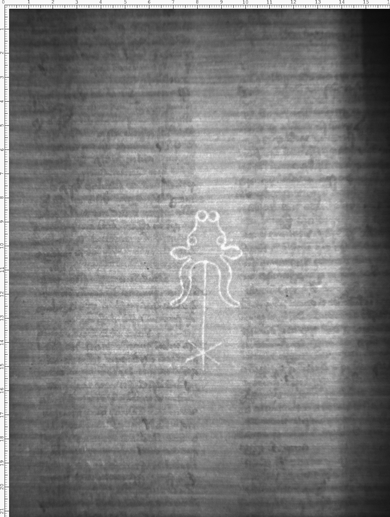 Watermark