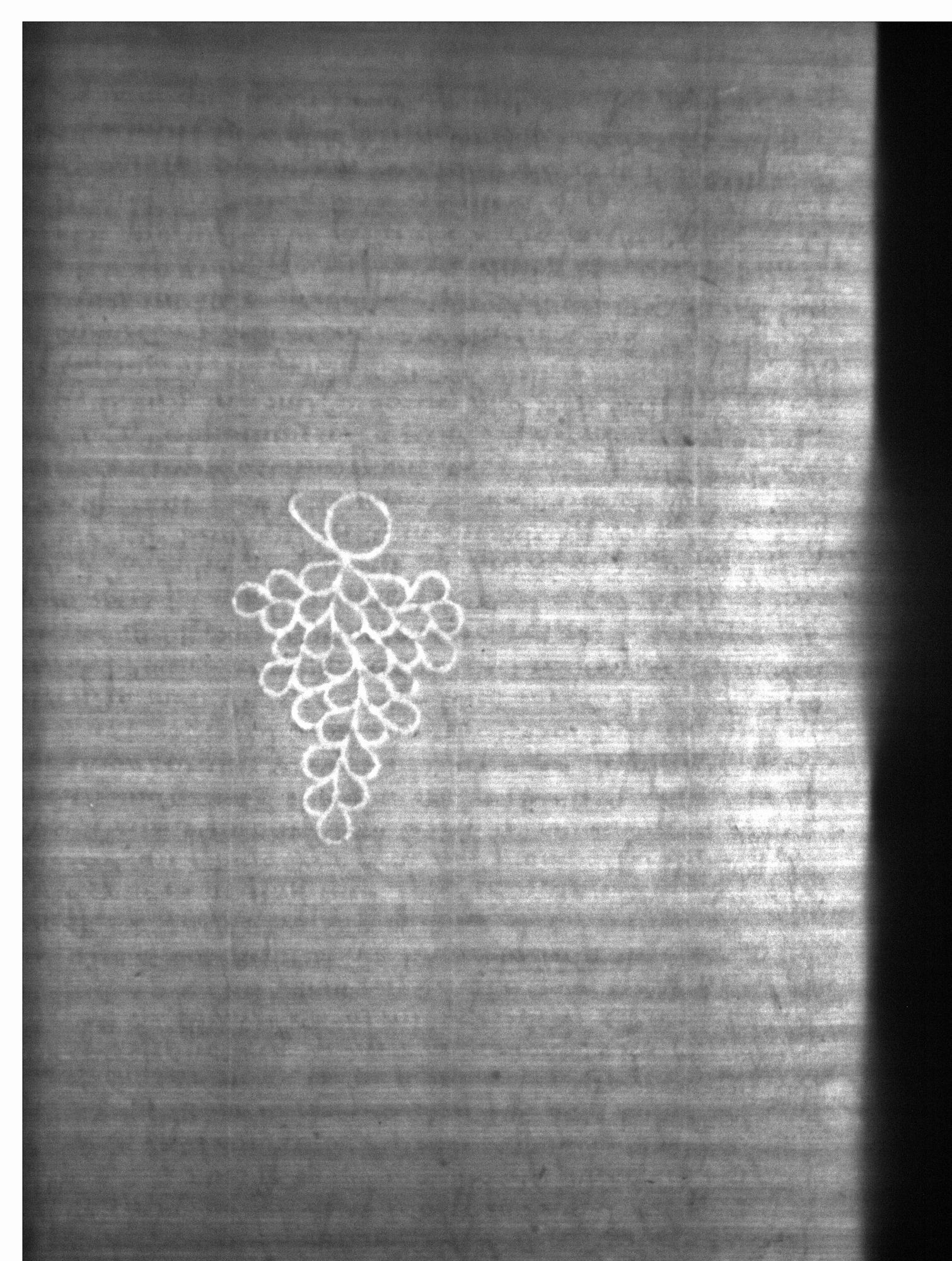 Watermark