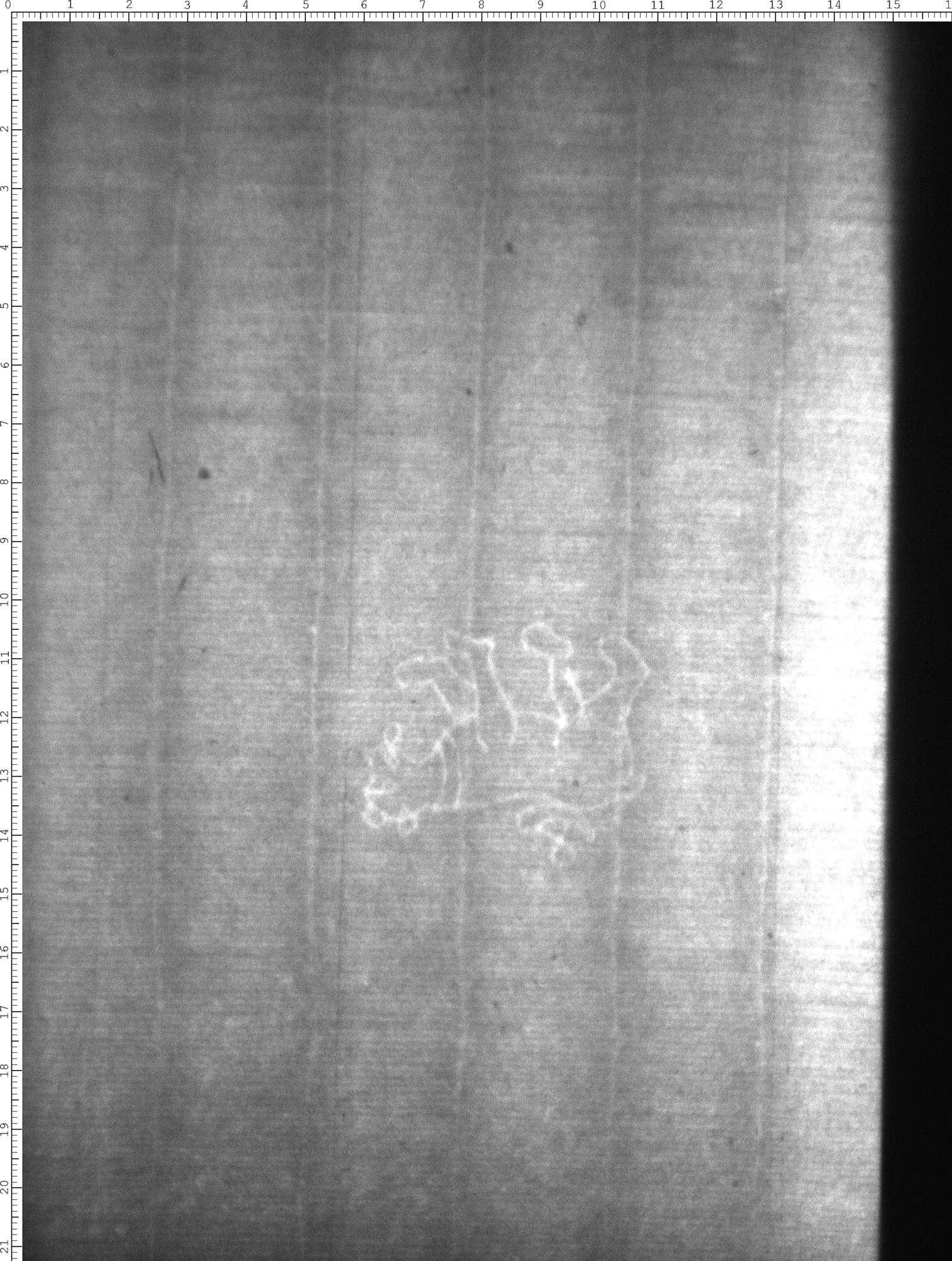 Watermark