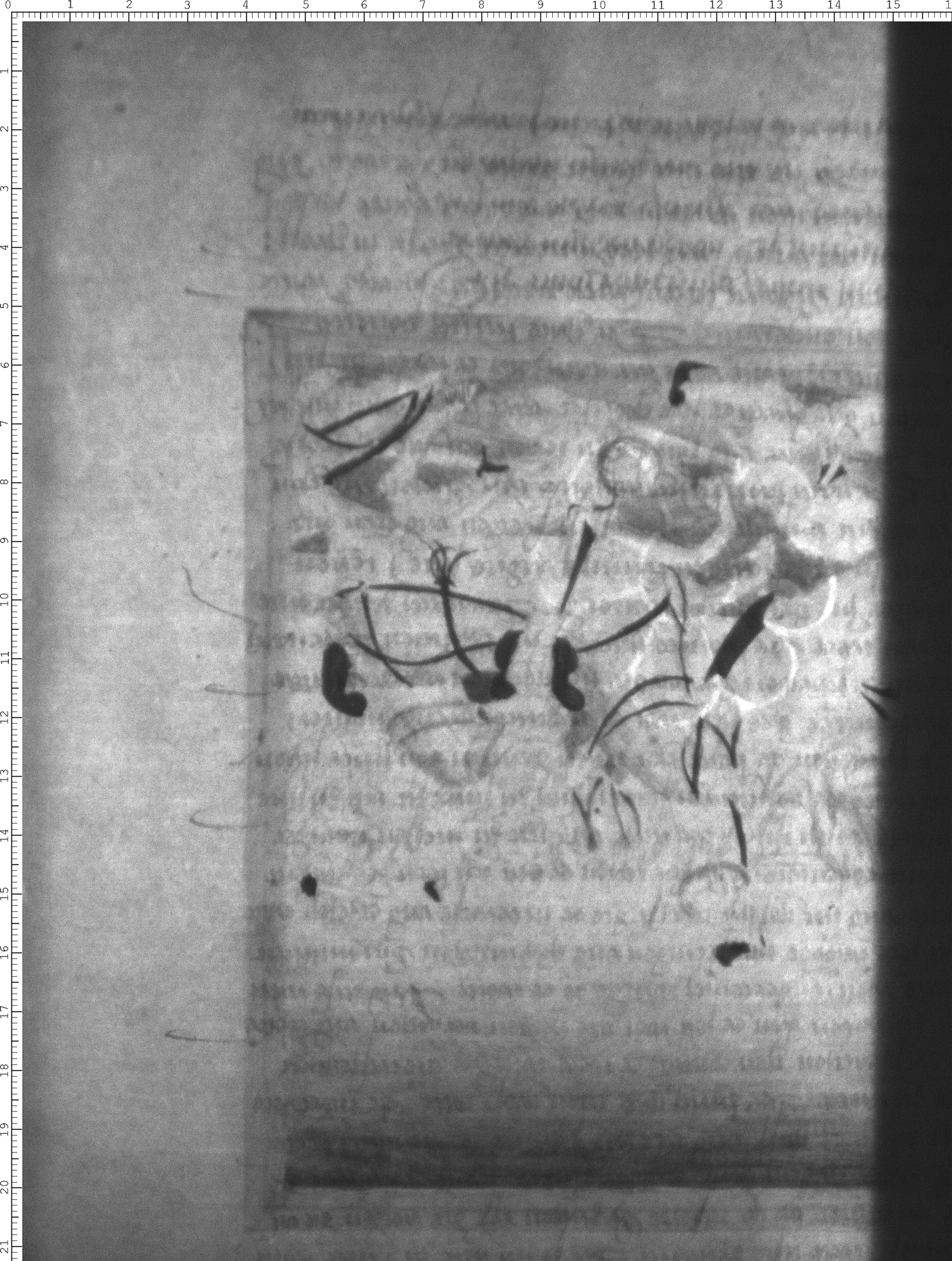 Watermark