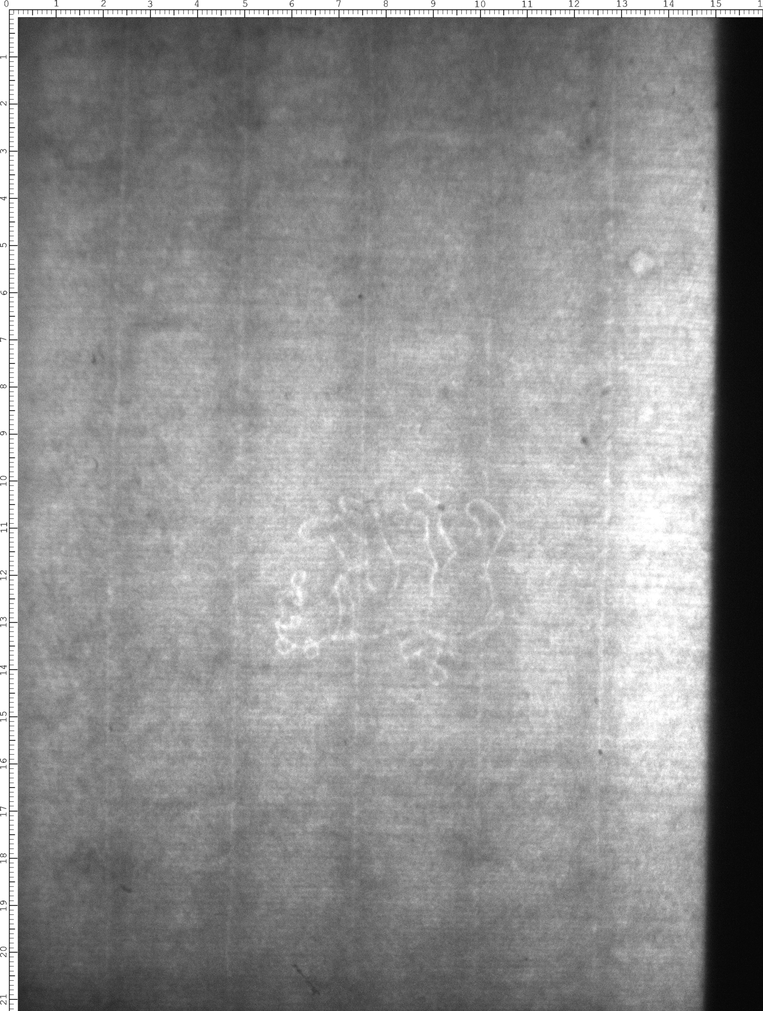 Watermark