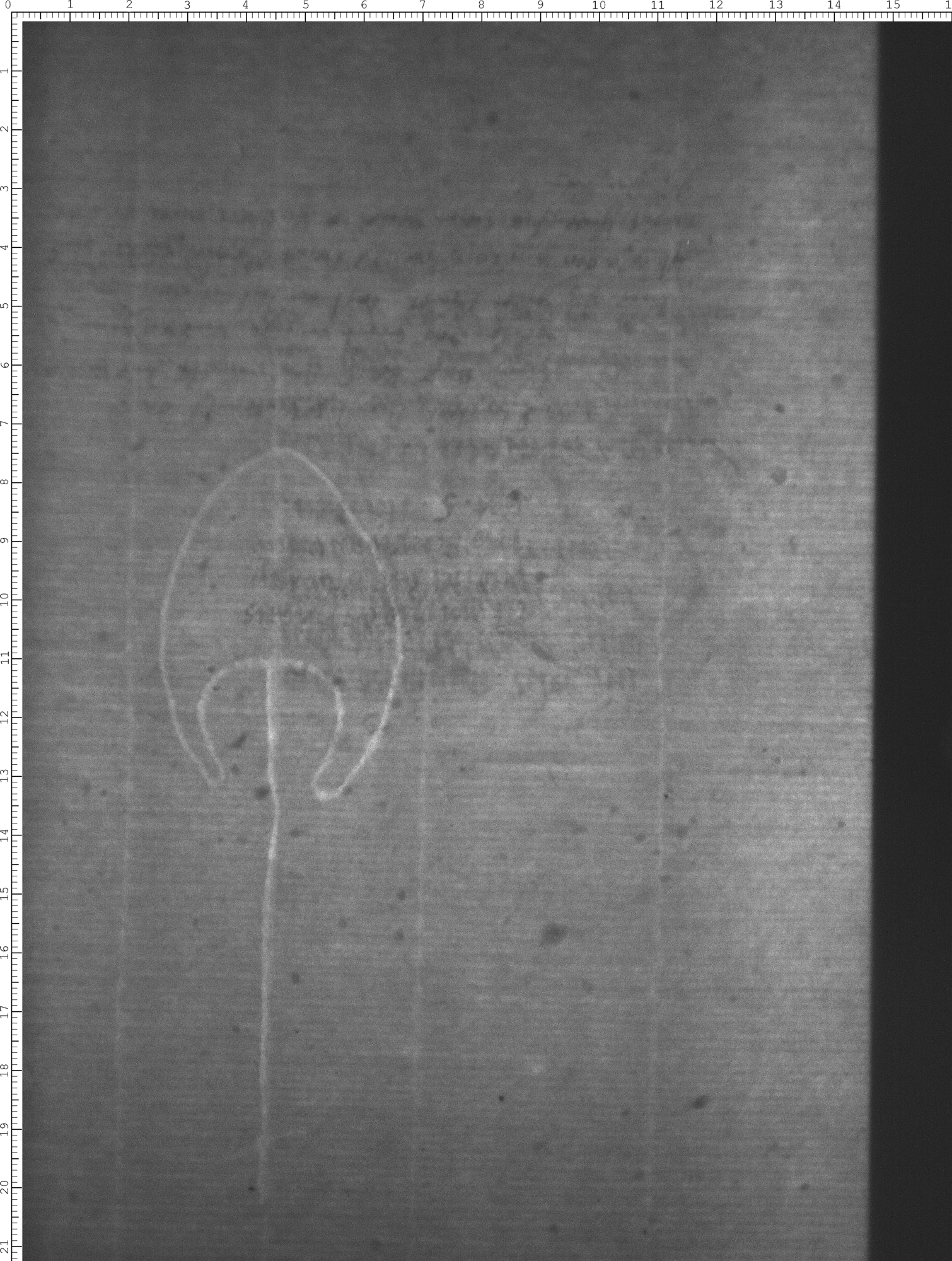 Watermark