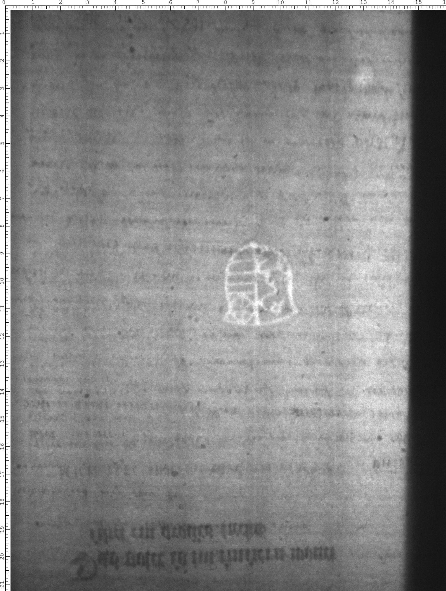 Watermark