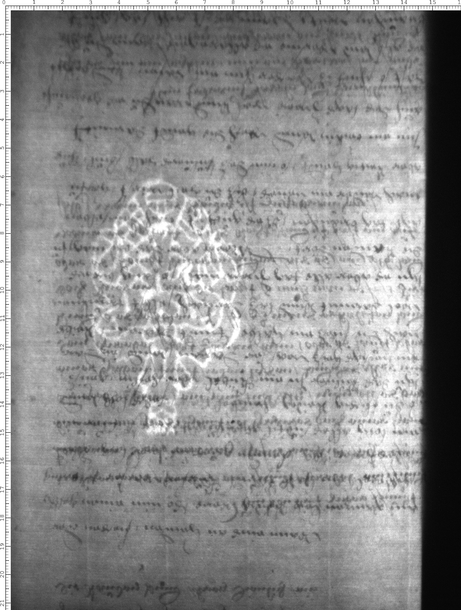 Watermark